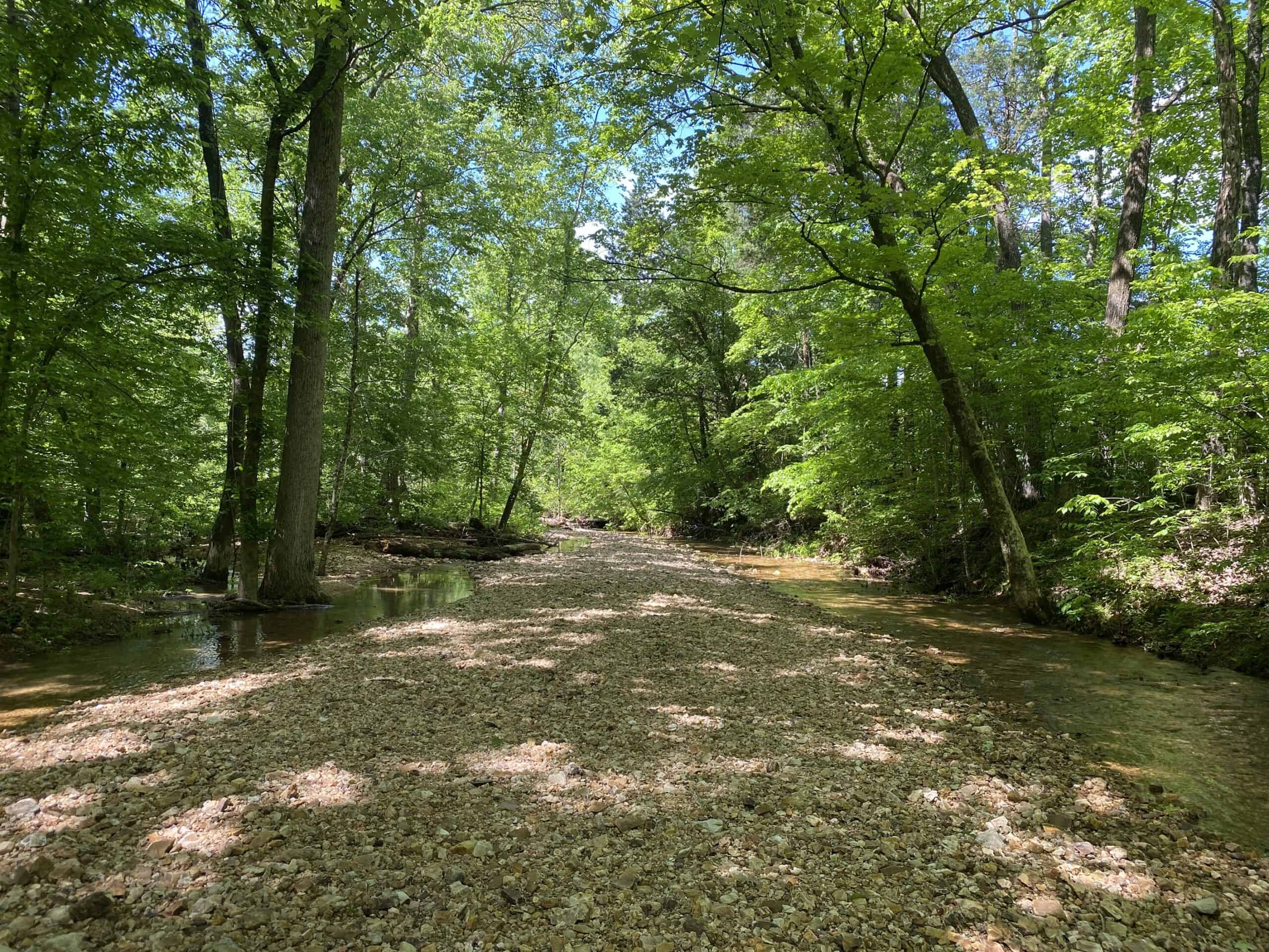 LAND FOR SALE IN TN, 39 AC+/-, CREEK, OPEN & WOODED, HUNTING