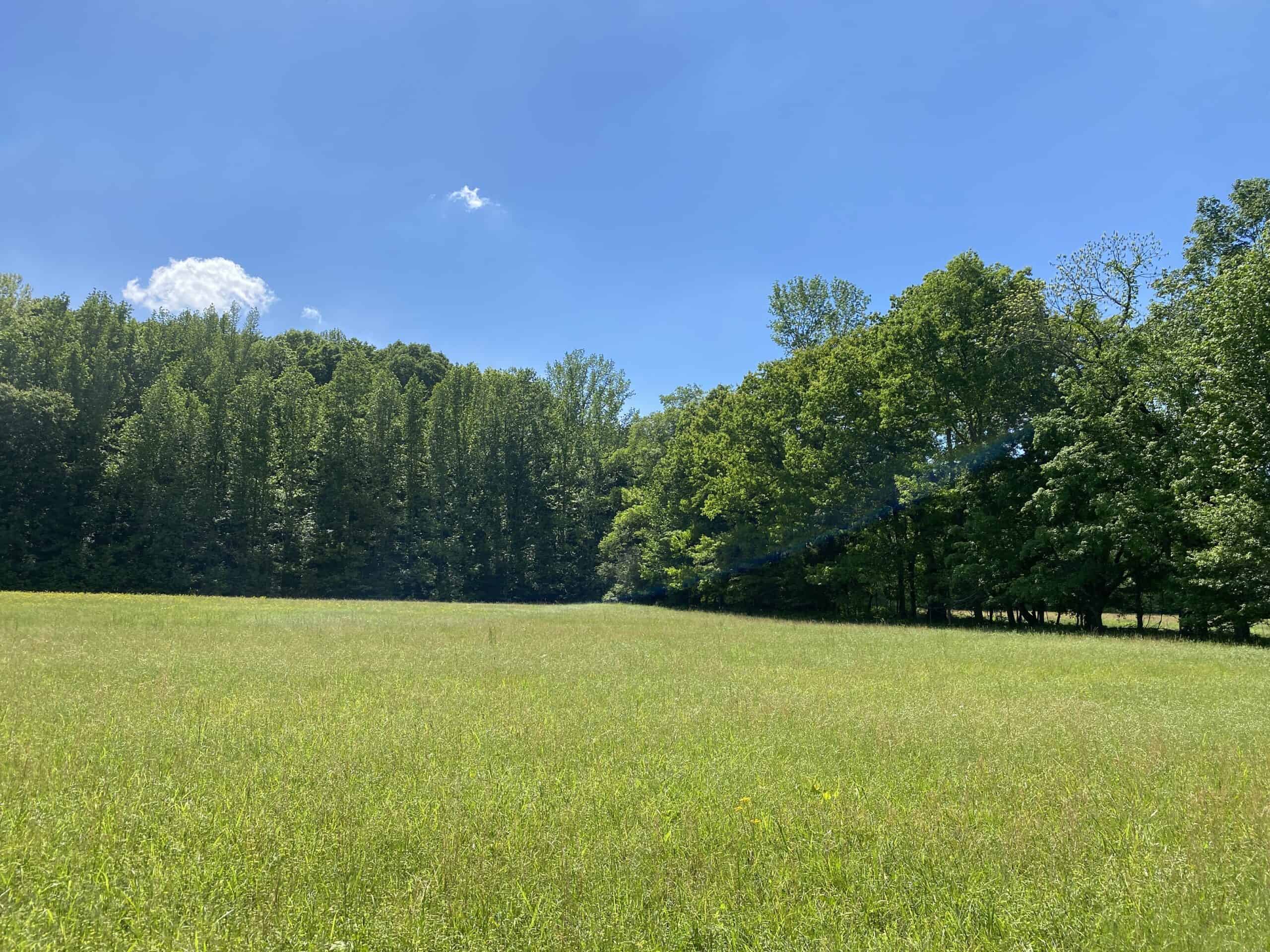 LAND FOR SALE IN TN, 39 AC+/-, CREEK, OPEN & WOODED, HUNTING