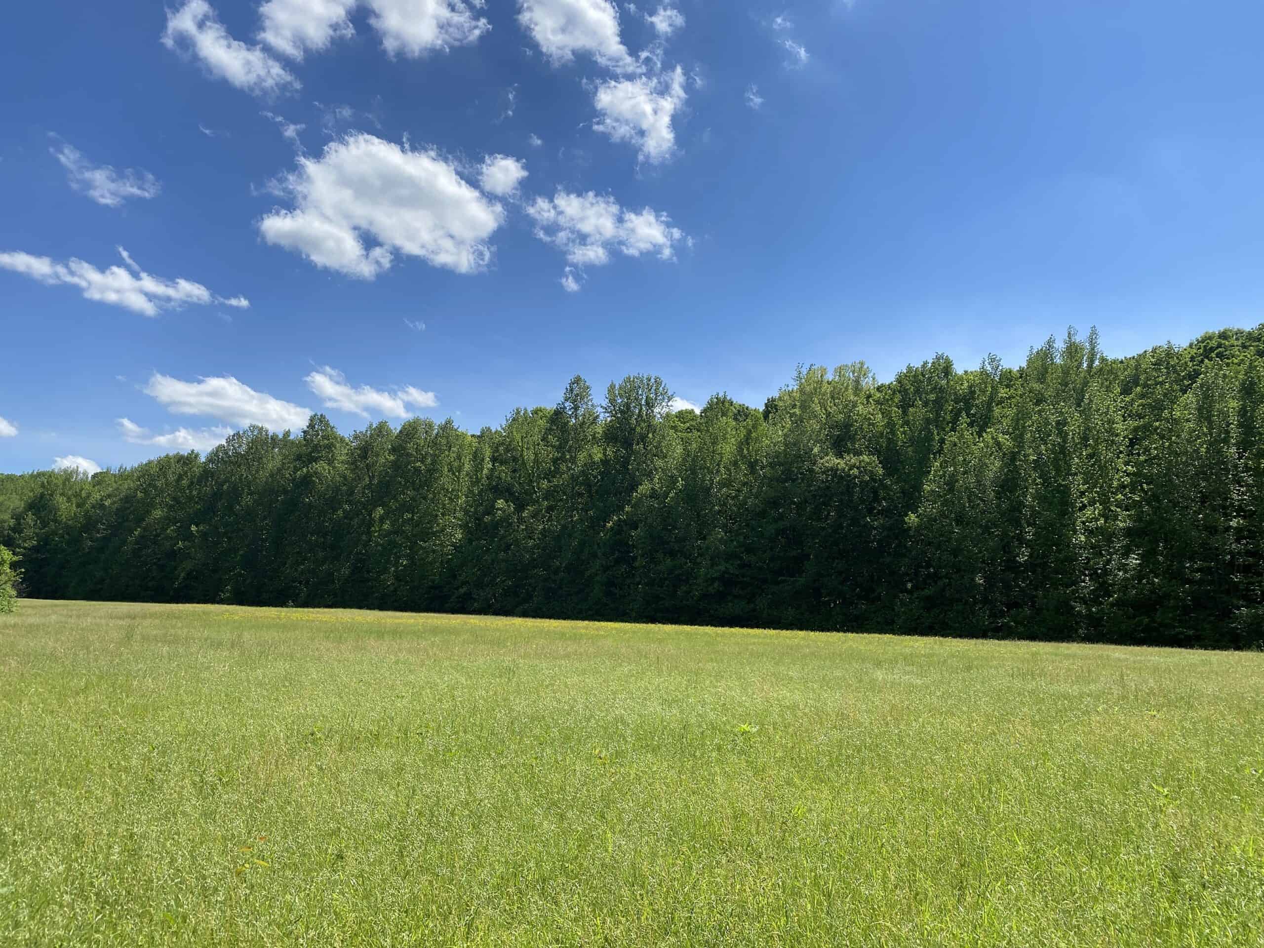 LAND FOR SALE IN TN, 39 AC+/-, CREEK, OPEN & WOODED, HUNTING