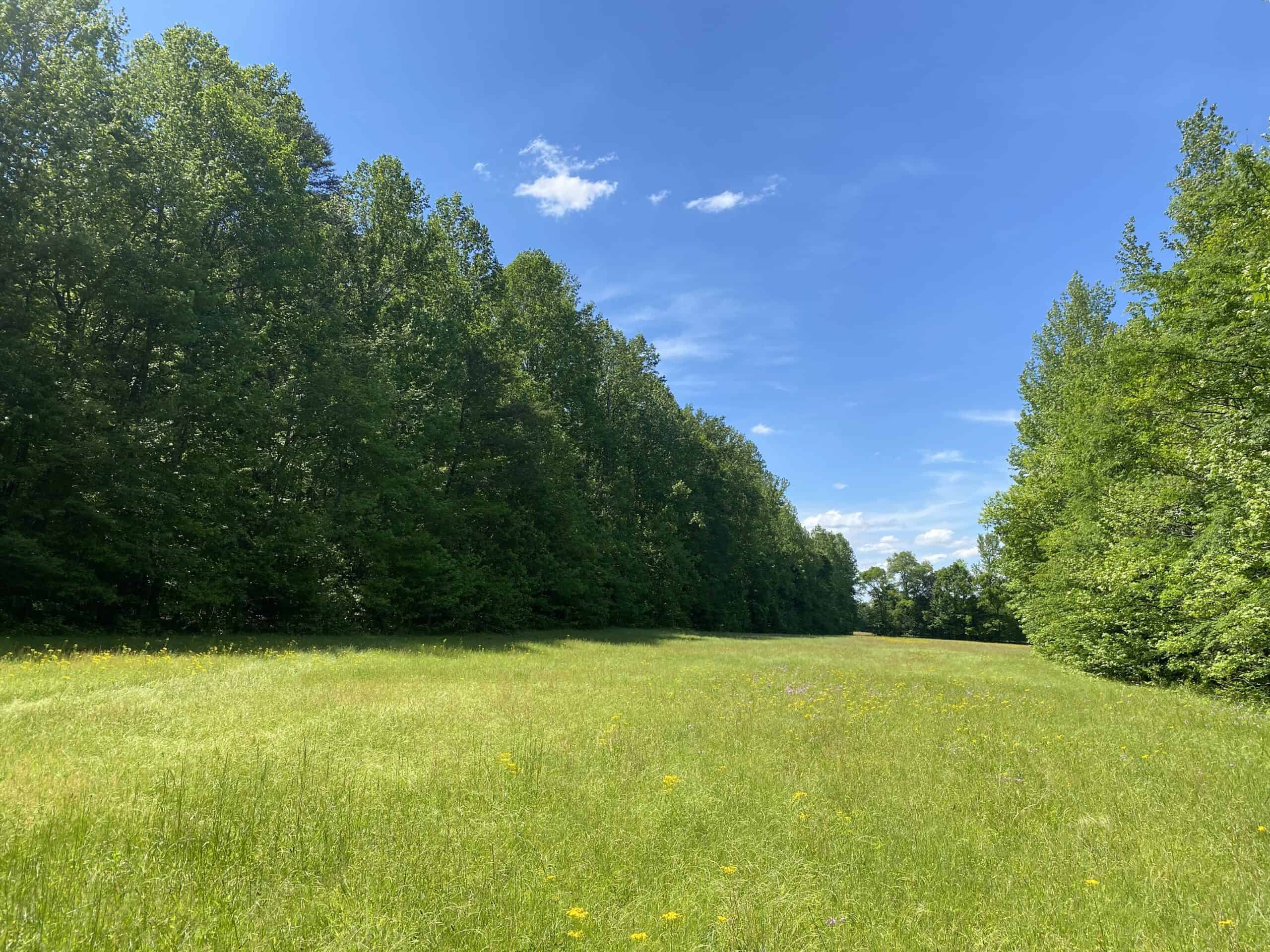 LAND FOR SALE IN TN, 39 AC+/-, CREEK, OPEN & WOODED, HUNTING