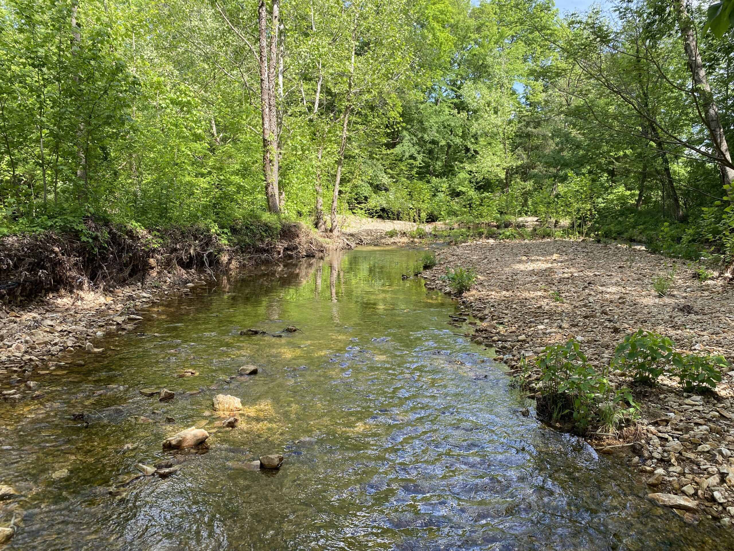 LAND FOR SALE IN TN, 39 AC+/-, CREEK, OPEN & WOODED, HUNTING