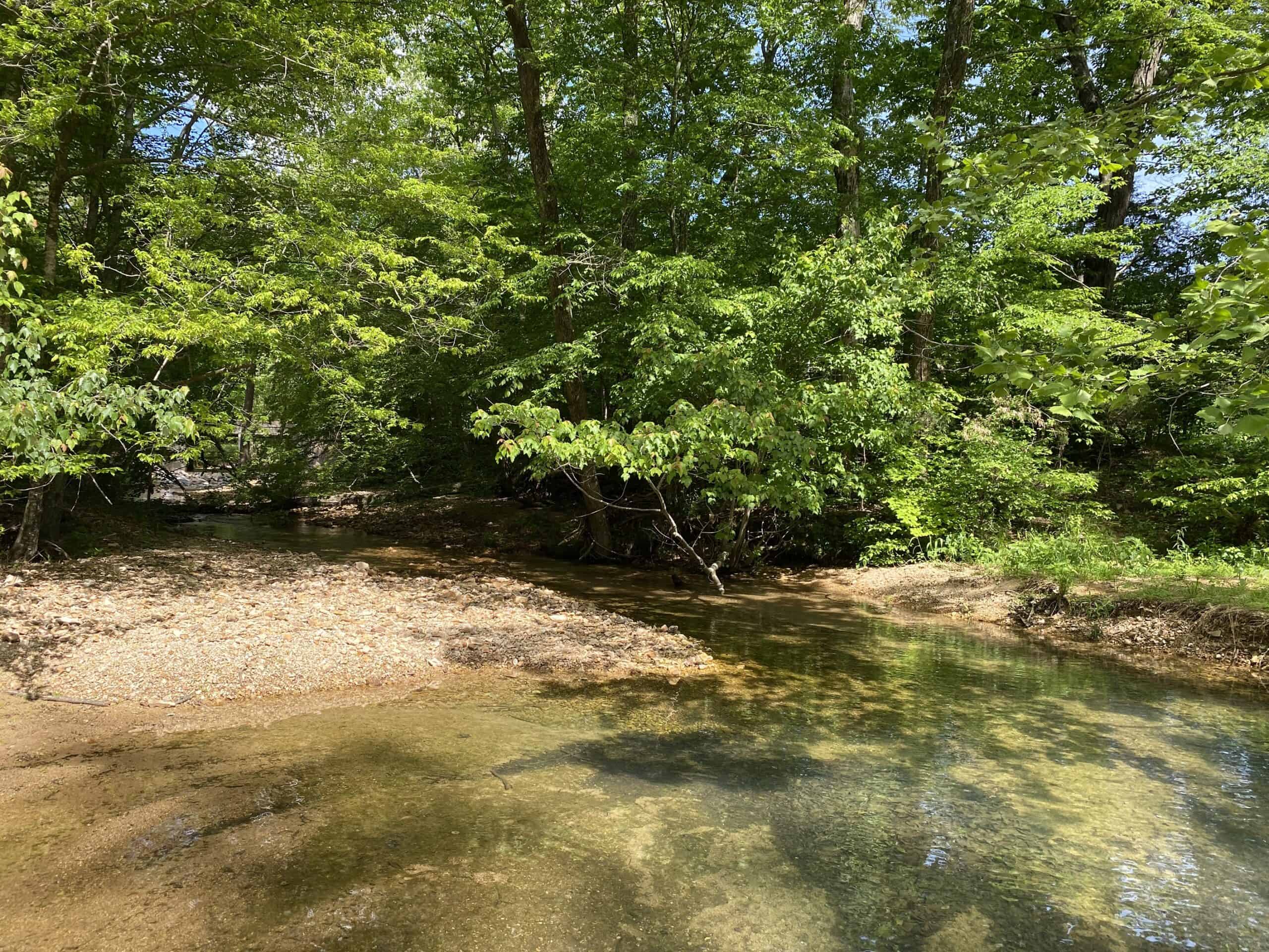 LAND FOR SALE IN TN, 39 AC+/-, CREEK, OPEN & WOODED, HUNTING