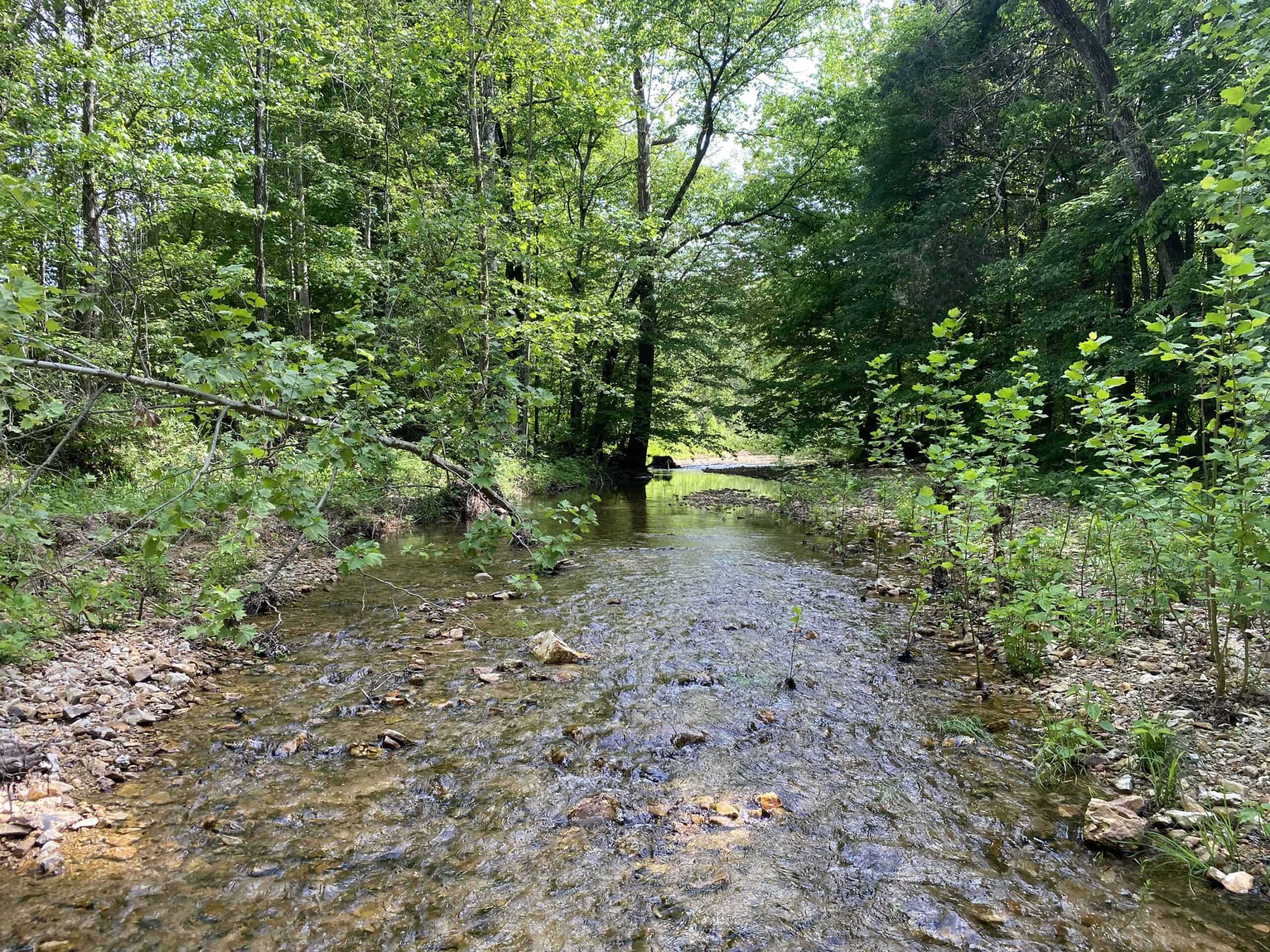 LAND FOR SALE IN TN, 39 AC+/-, CREEK, OPEN & WOODED, HUNTING