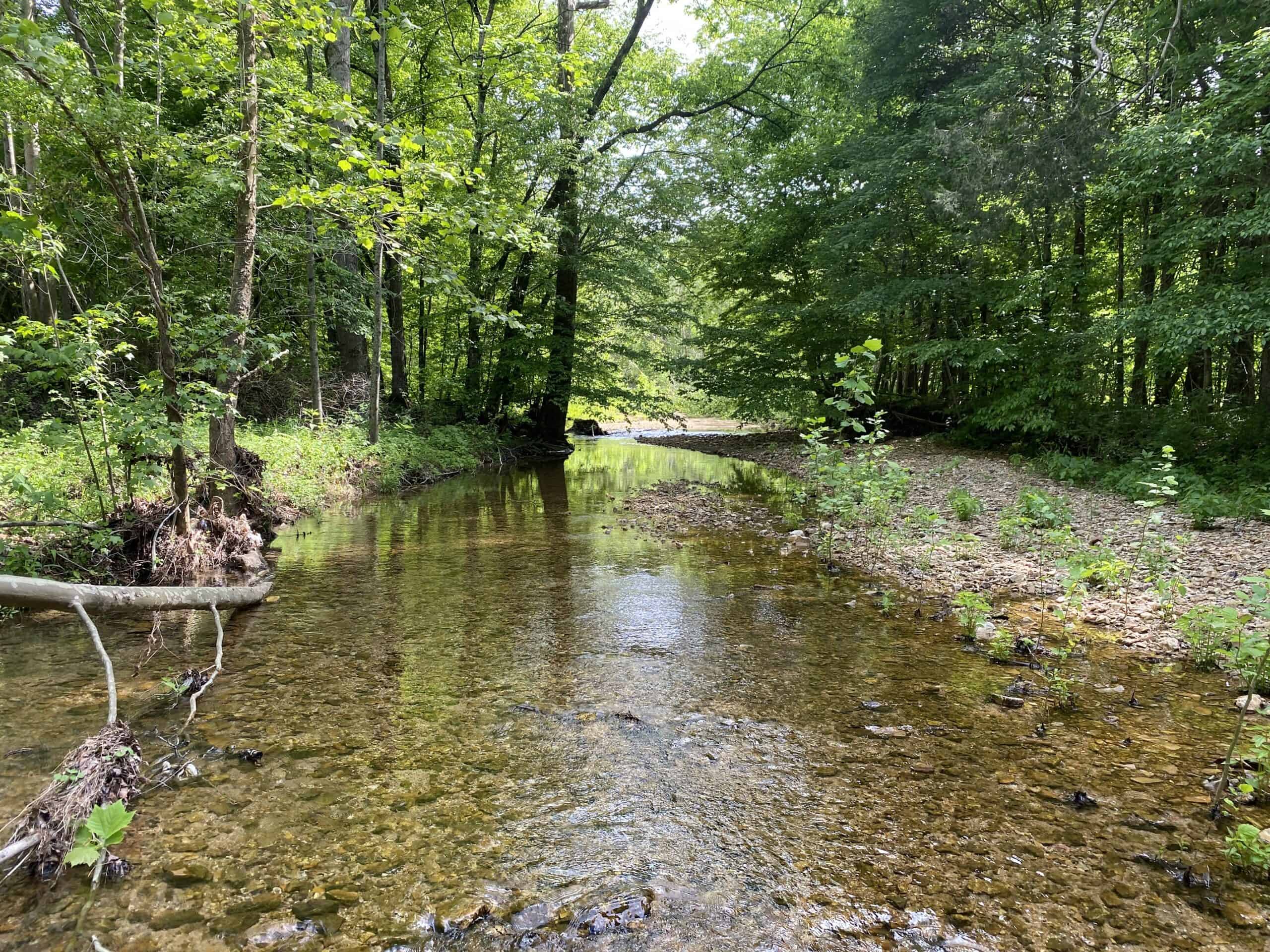 LAND FOR SALE IN TN, 39 AC+/-, CREEK, OPEN & WOODED, HUNTING