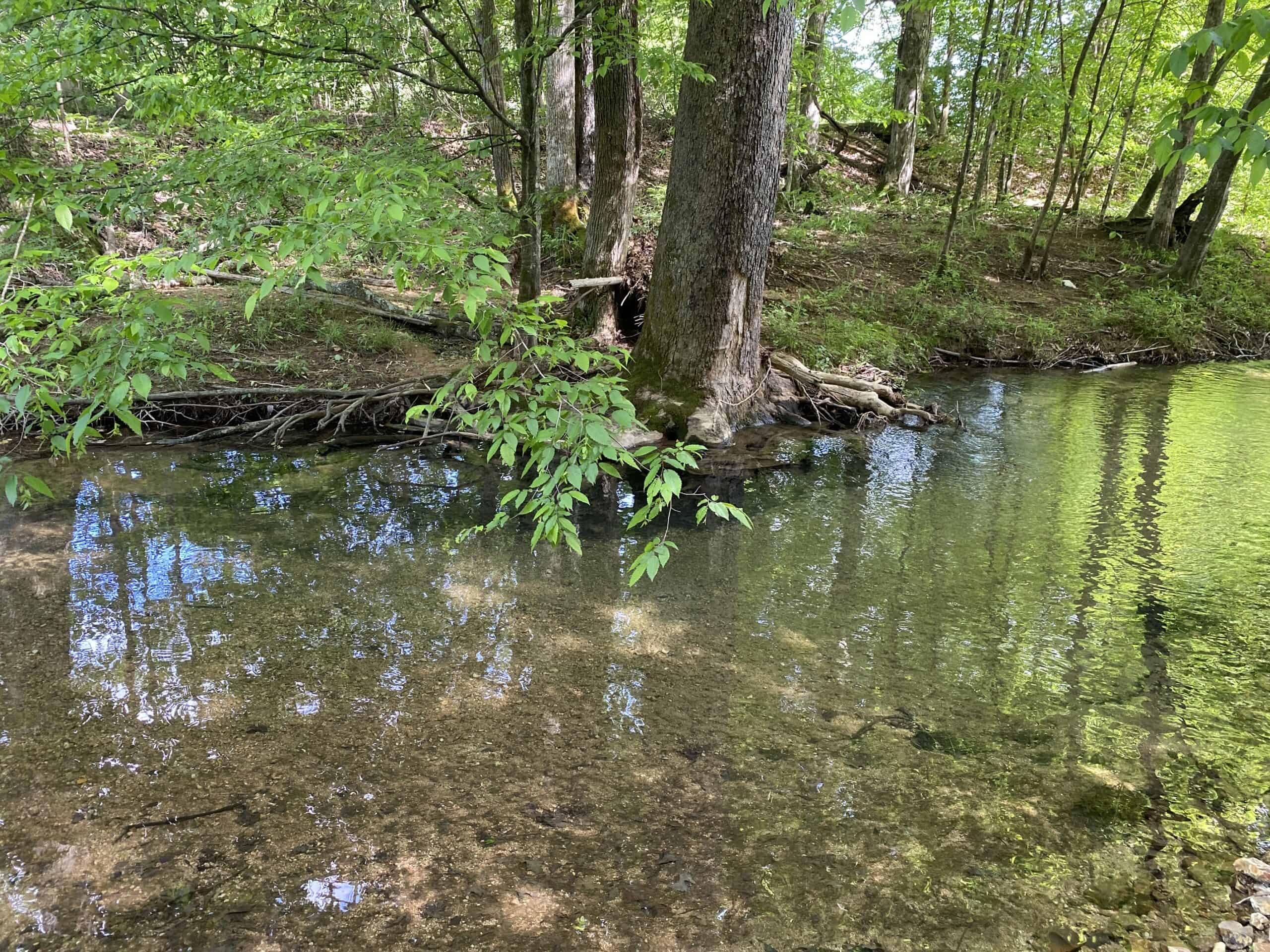 LAND FOR SALE IN TN, 39 AC+/-, CREEK, OPEN & WOODED, HUNTING