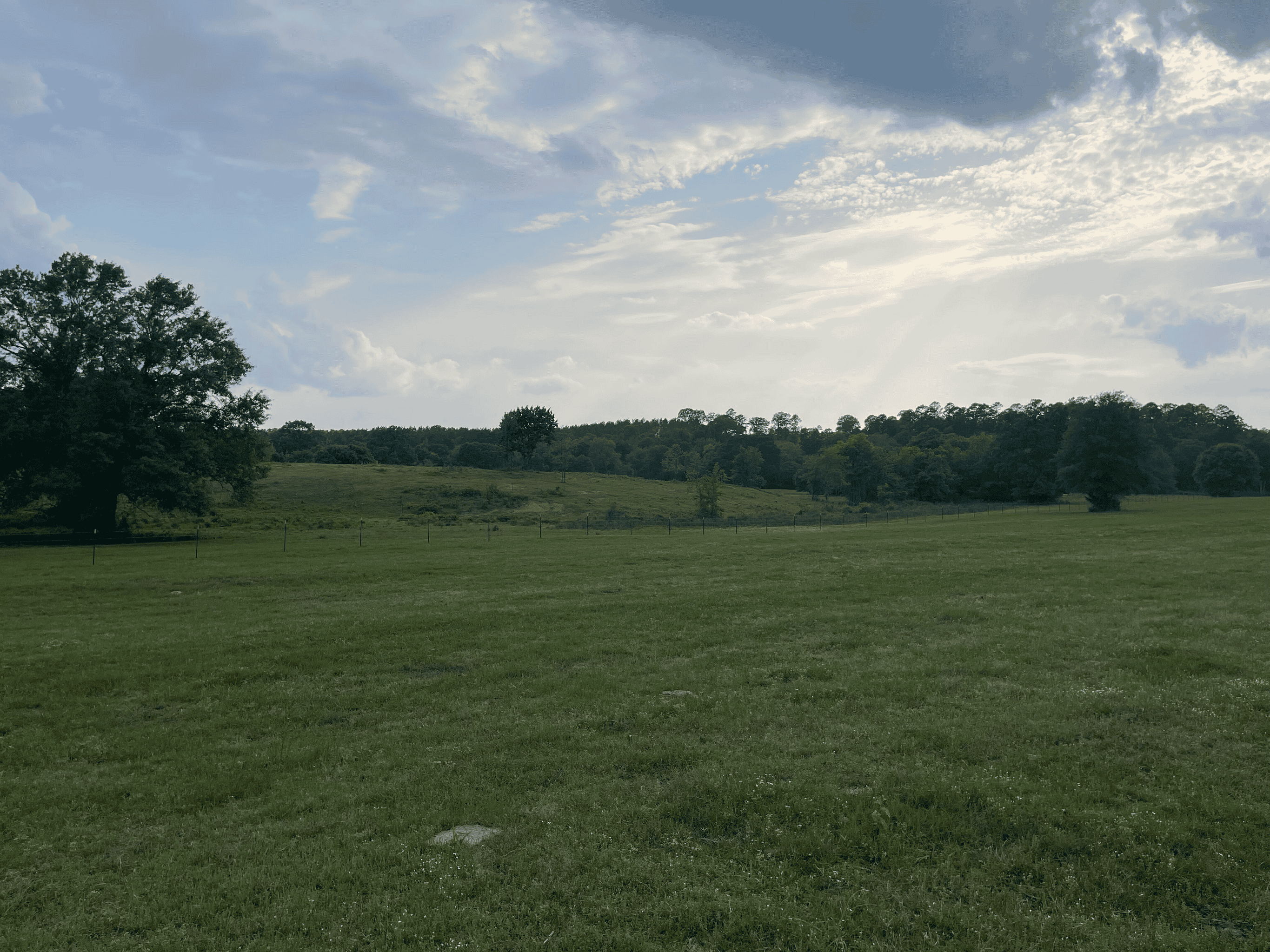 Secluded 100 Acre Mol Ranch in McCurtain County OK