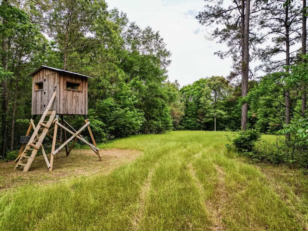 586 Hunting Land in the Catahoula Hills with Creek