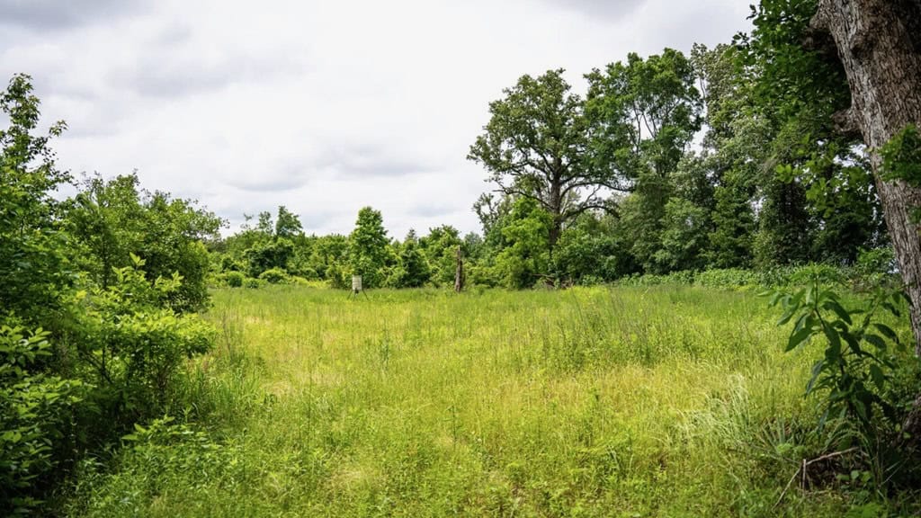 Hunting Land for Sale Morehouse Parish, LA