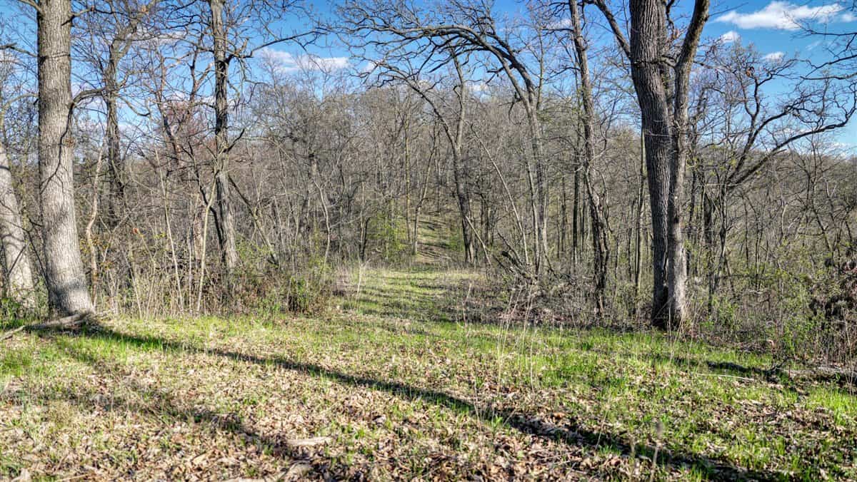 Premium 32+/- Acre Parcel in La Crosse County WI