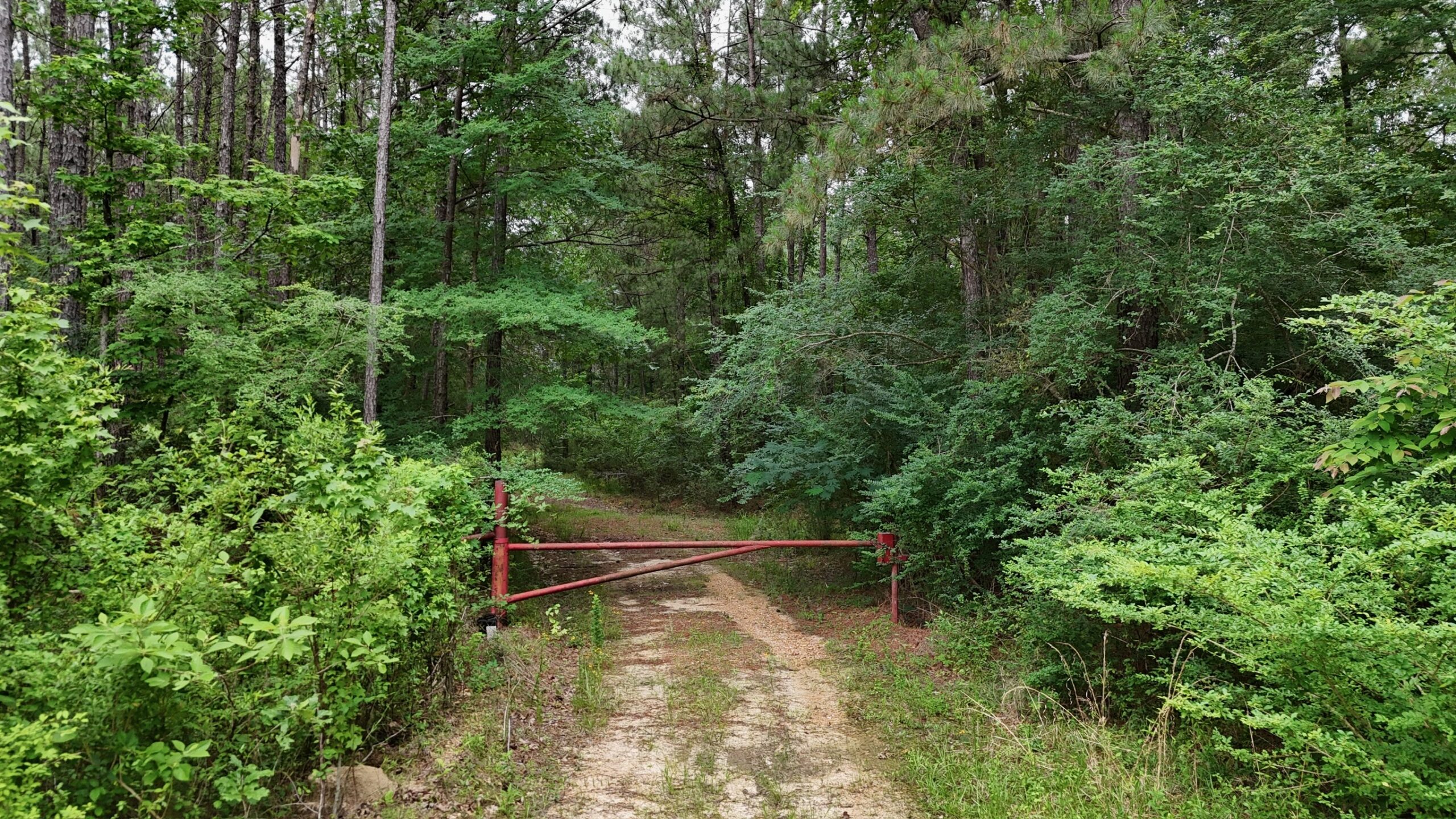 Riverfront Hunting Property with a Private Lake