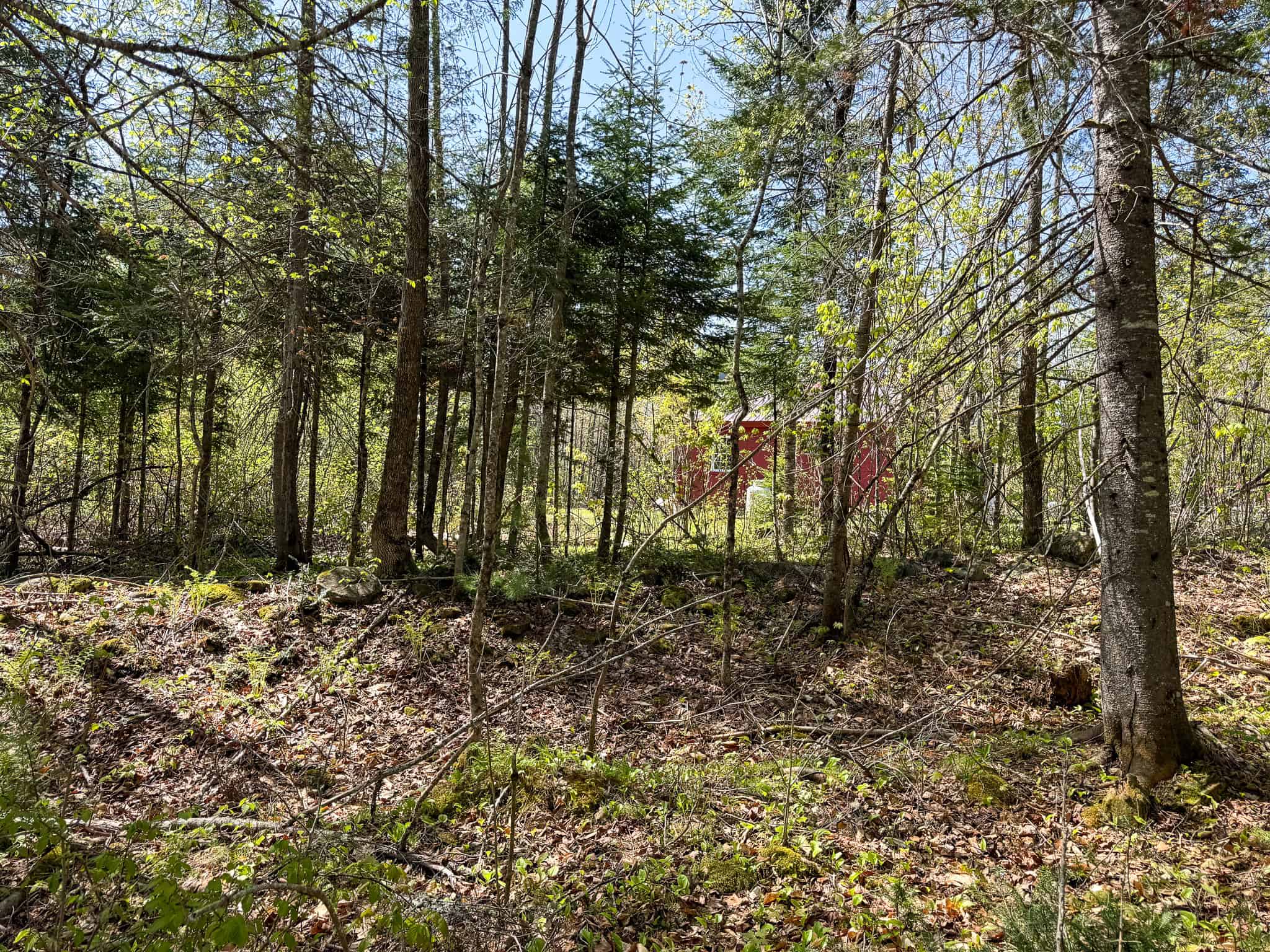 Escape to the Maine Woods – Off-Grid Getaway Cabin on 26± Acres