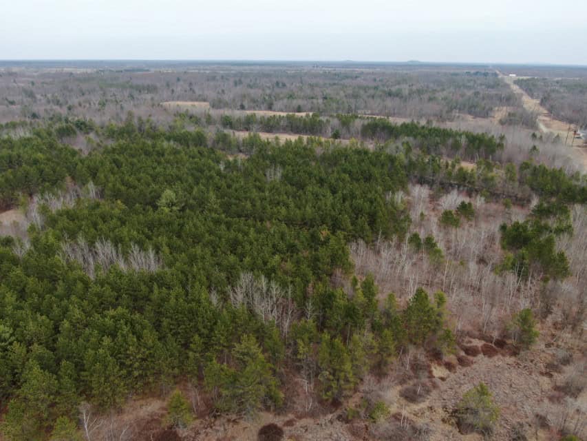 103± acre timber tract in Juneau County’s Town of Necedah