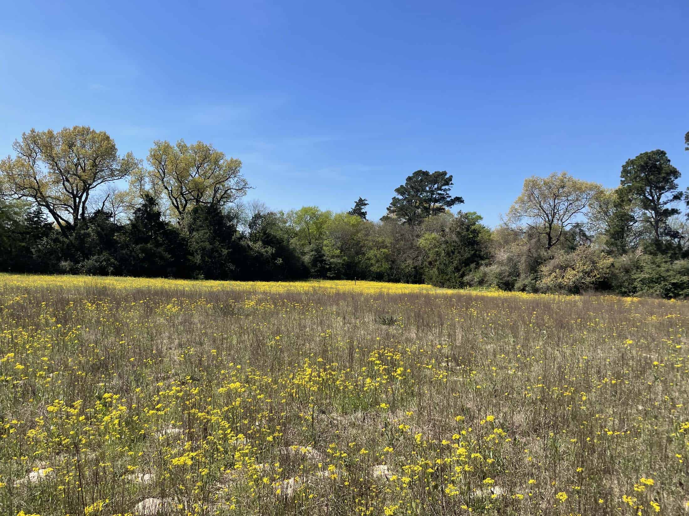 Recreational Ranch North of Houston near Grapeland TX