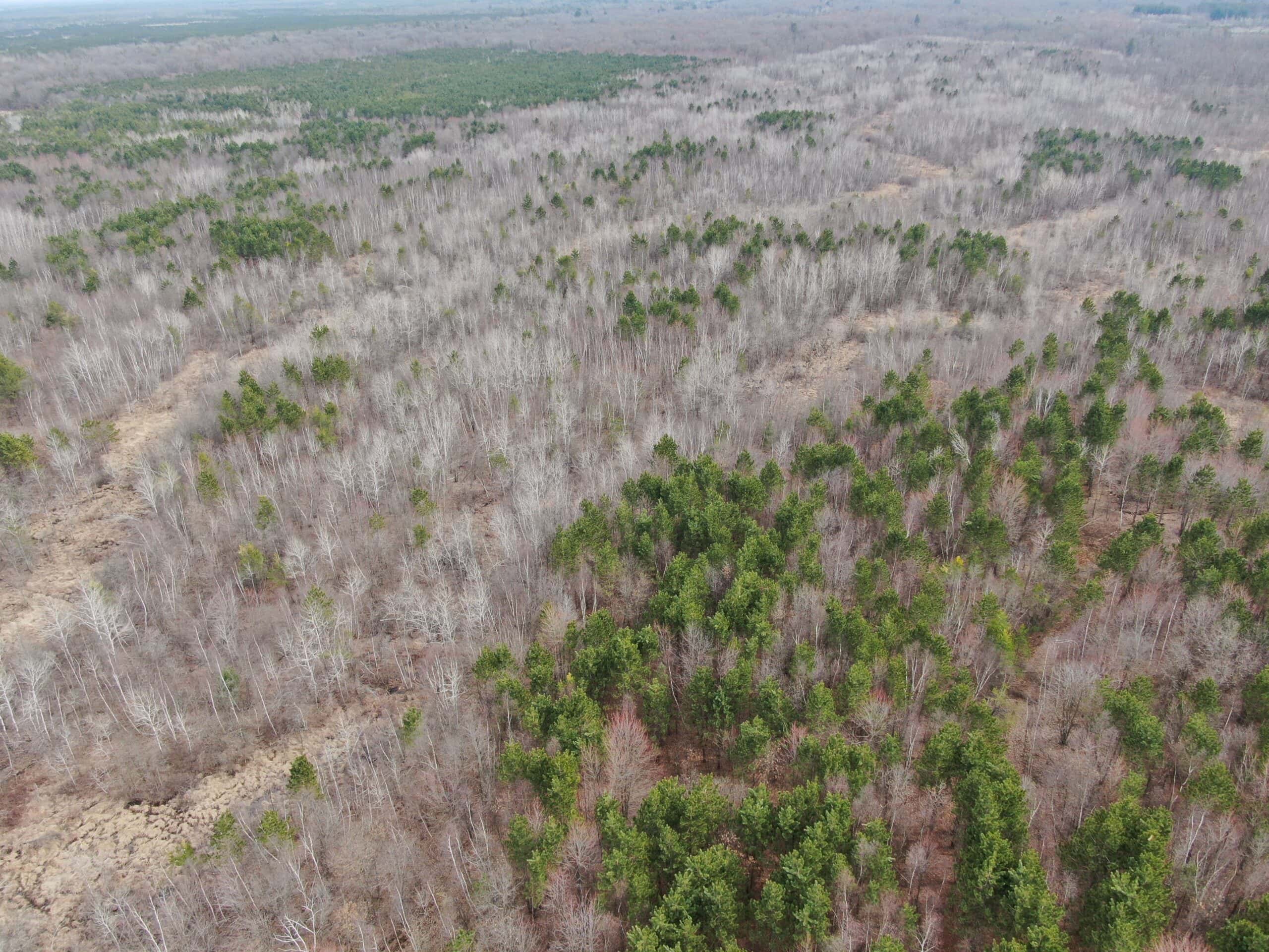 Juneau County WI 360 Acre Outdoor Paradise