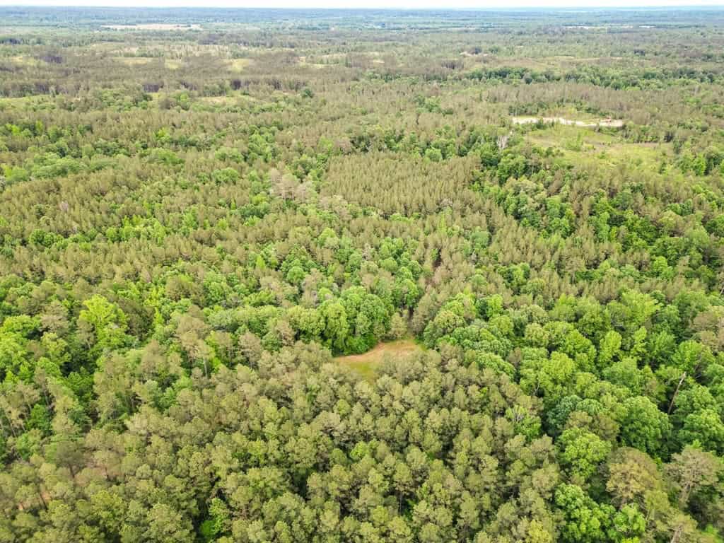 586 Hunting Land in the Catahoula Hills with Creek