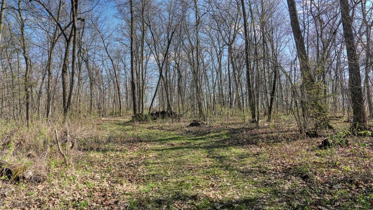 Premium 32+/- Acre Parcel in La Crosse County WI