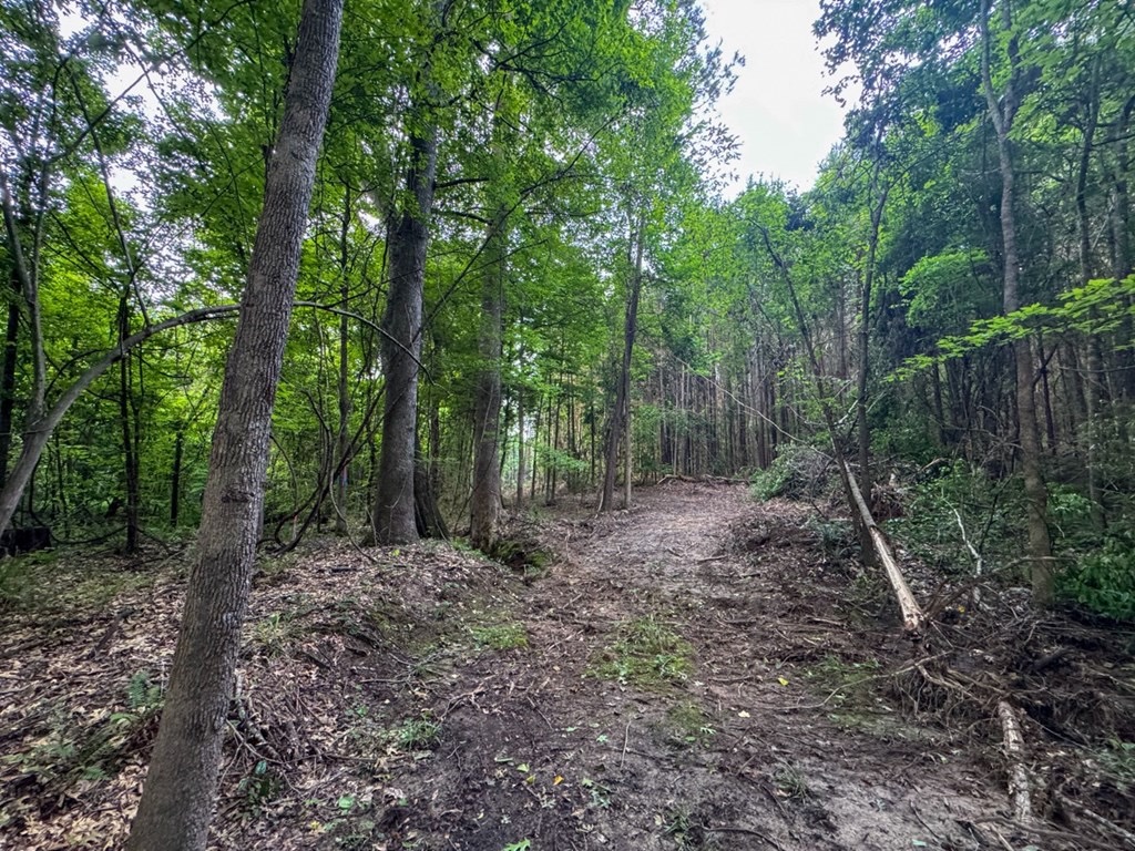 51 Acres of Hunting Land for Sale in Roxie, Mississippi