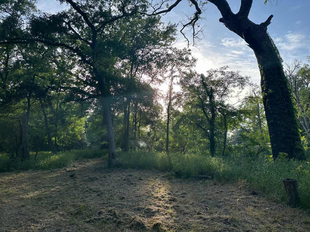 32-Acre Live Water Property with Leon River Frontage in Gatesville, TX