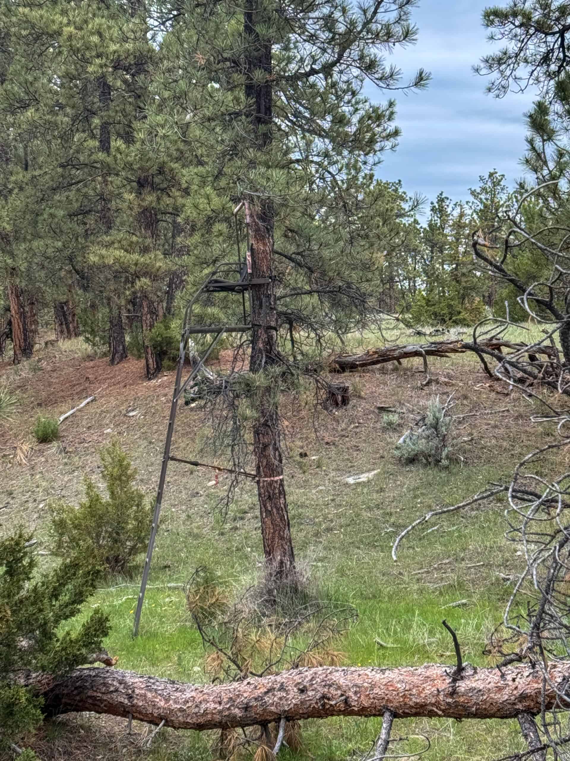 Scenic Montana Ranch with Elk, Deer & Trout Fishing