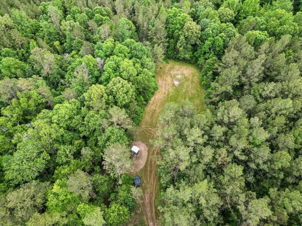 586 Hunting Land in the Catahoula Hills with Creek