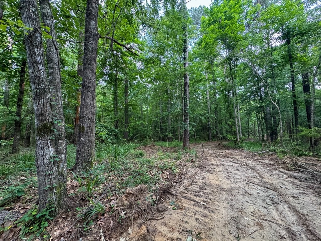 51 Acres of Hunting Land for Sale in Roxie, Mississippi