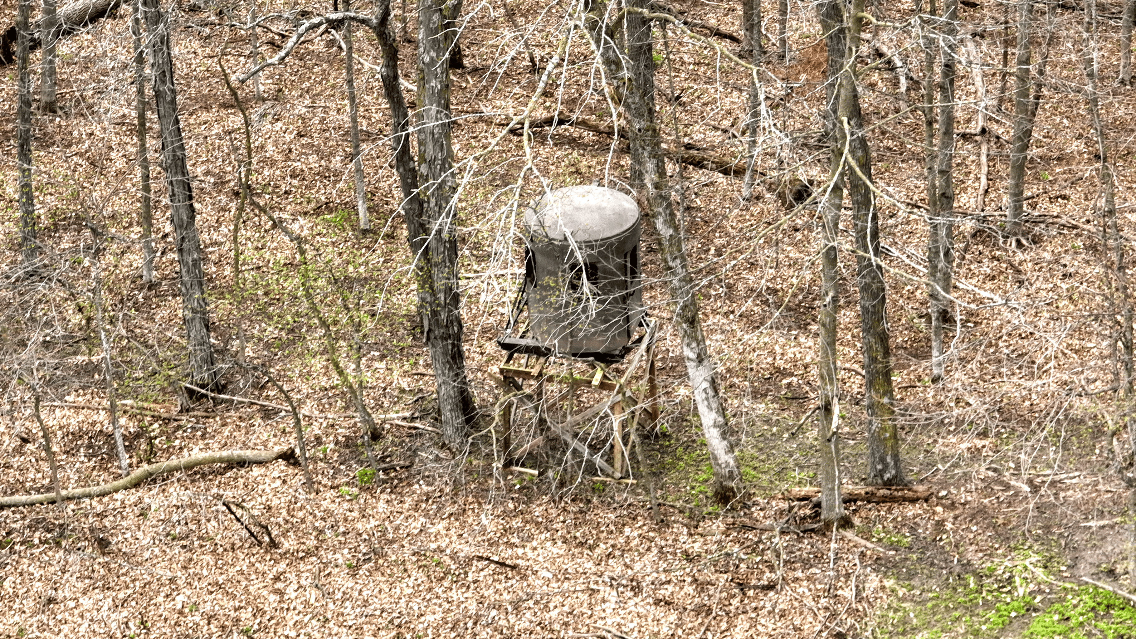 65-acre trophy whitetail and turkey hotspot
