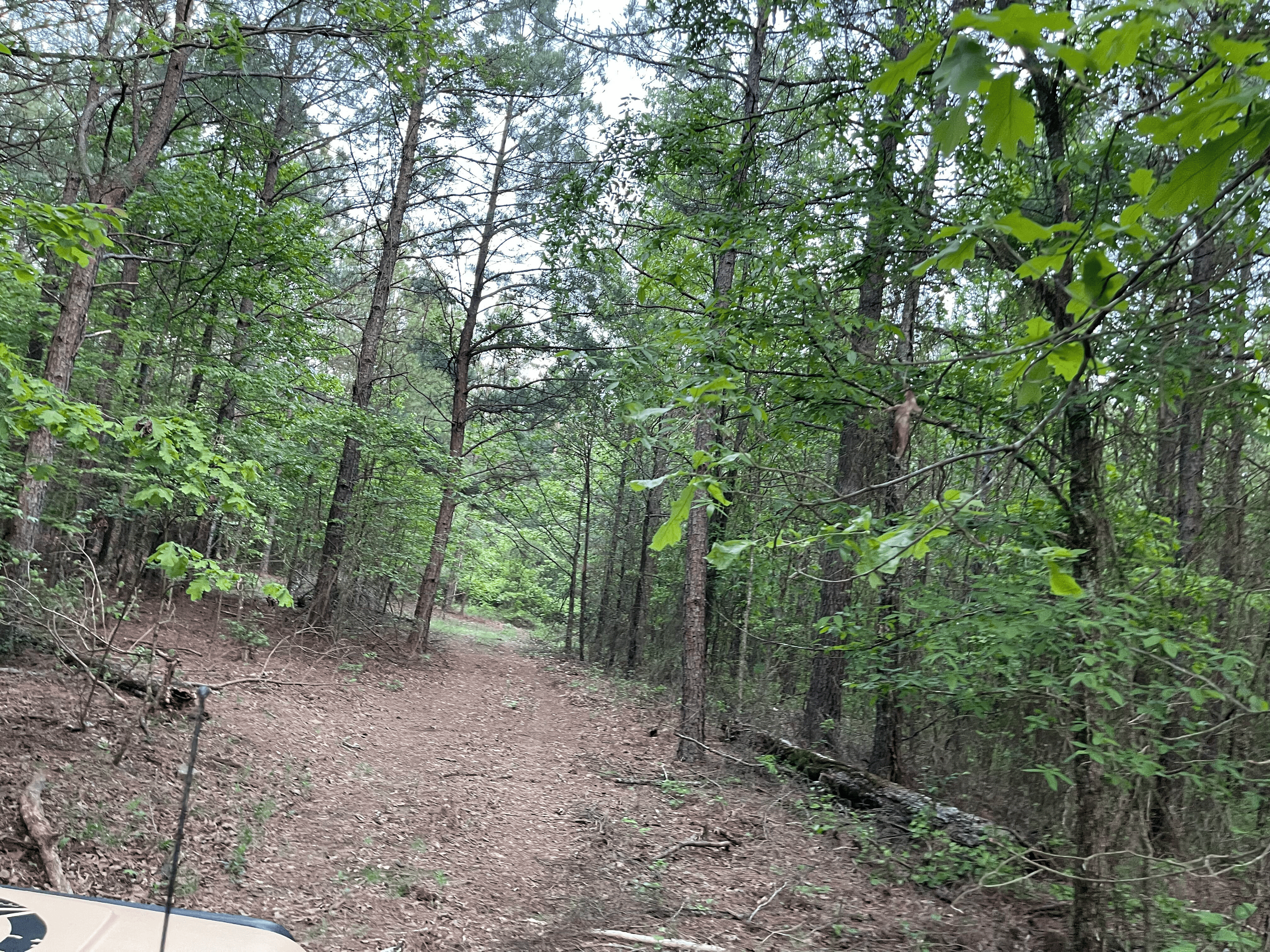 40 acres mol located just off of Wild Horse Trail in McCurtain, County, OK