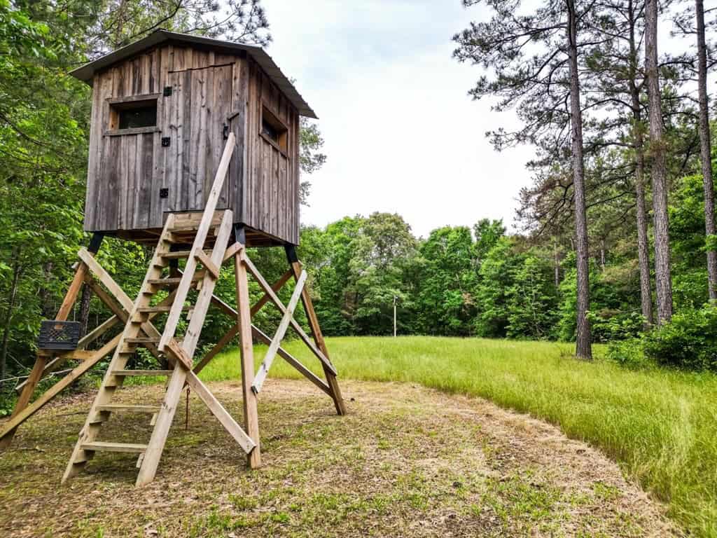 586 Hunting Land in the Catahoula Hills with Creek
