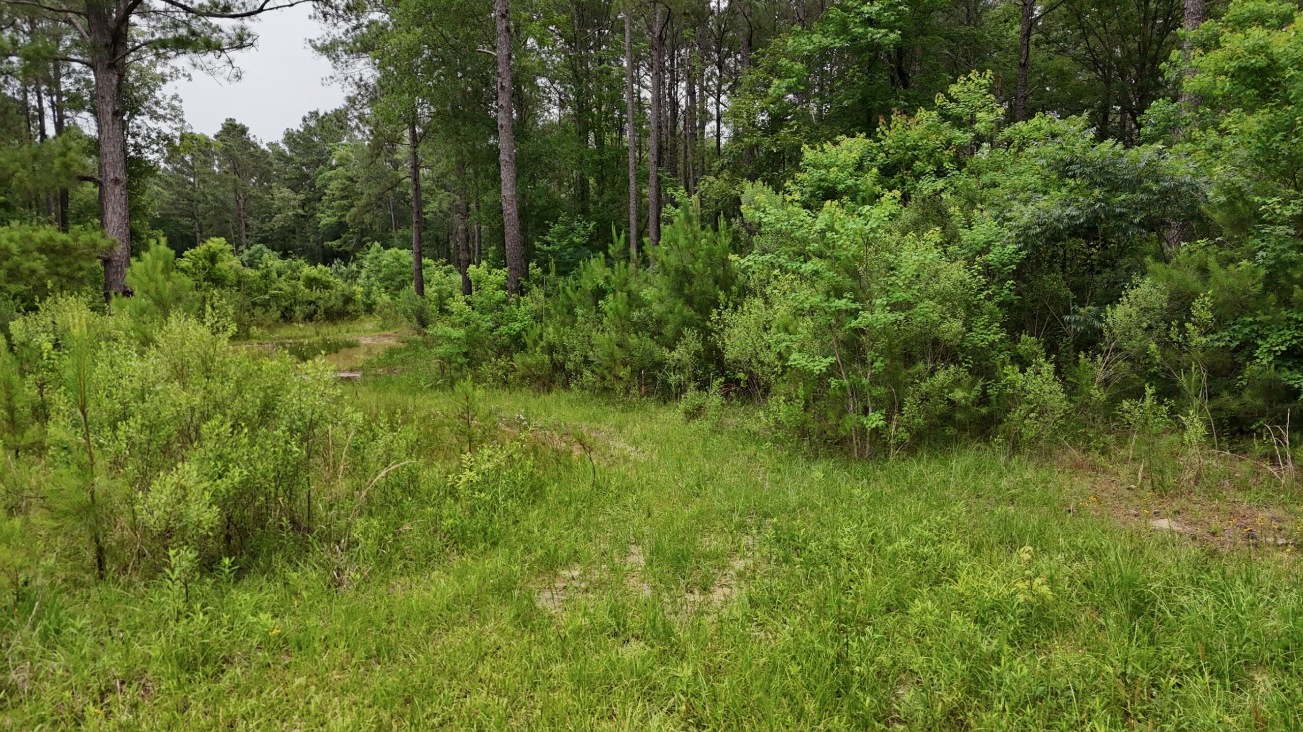 Riverfront Hunting Property with a Private Lake