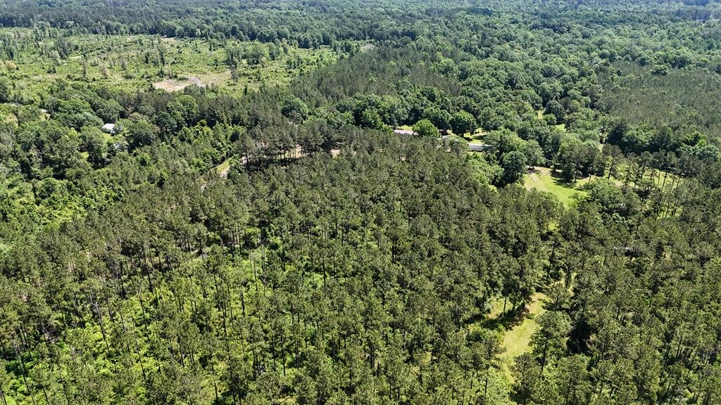 Turnkey Pike County, MS 70 Acres Hunting Property