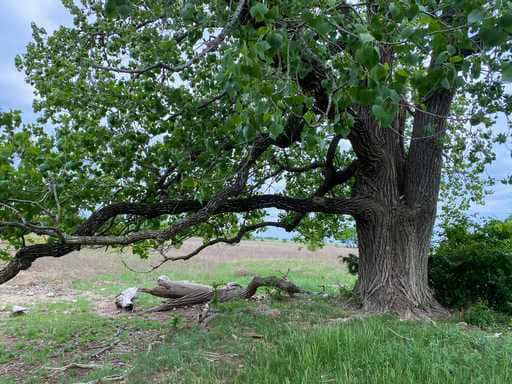 51.01 Acres for Sale in Gatesville, TX – Gated Entrance, Pond, and Stunning Views