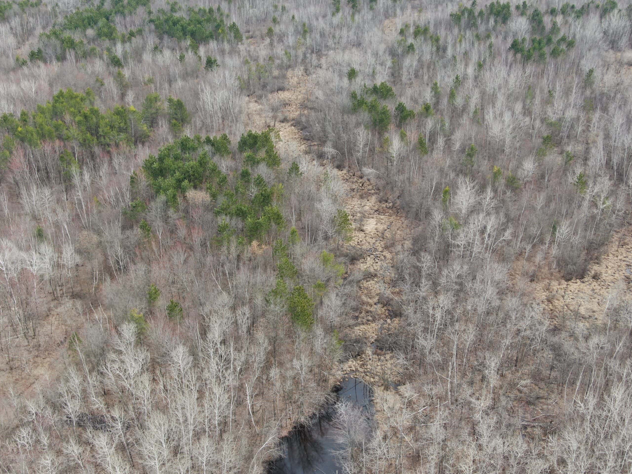 Juneau County WI 360 Acre Outdoor Paradise