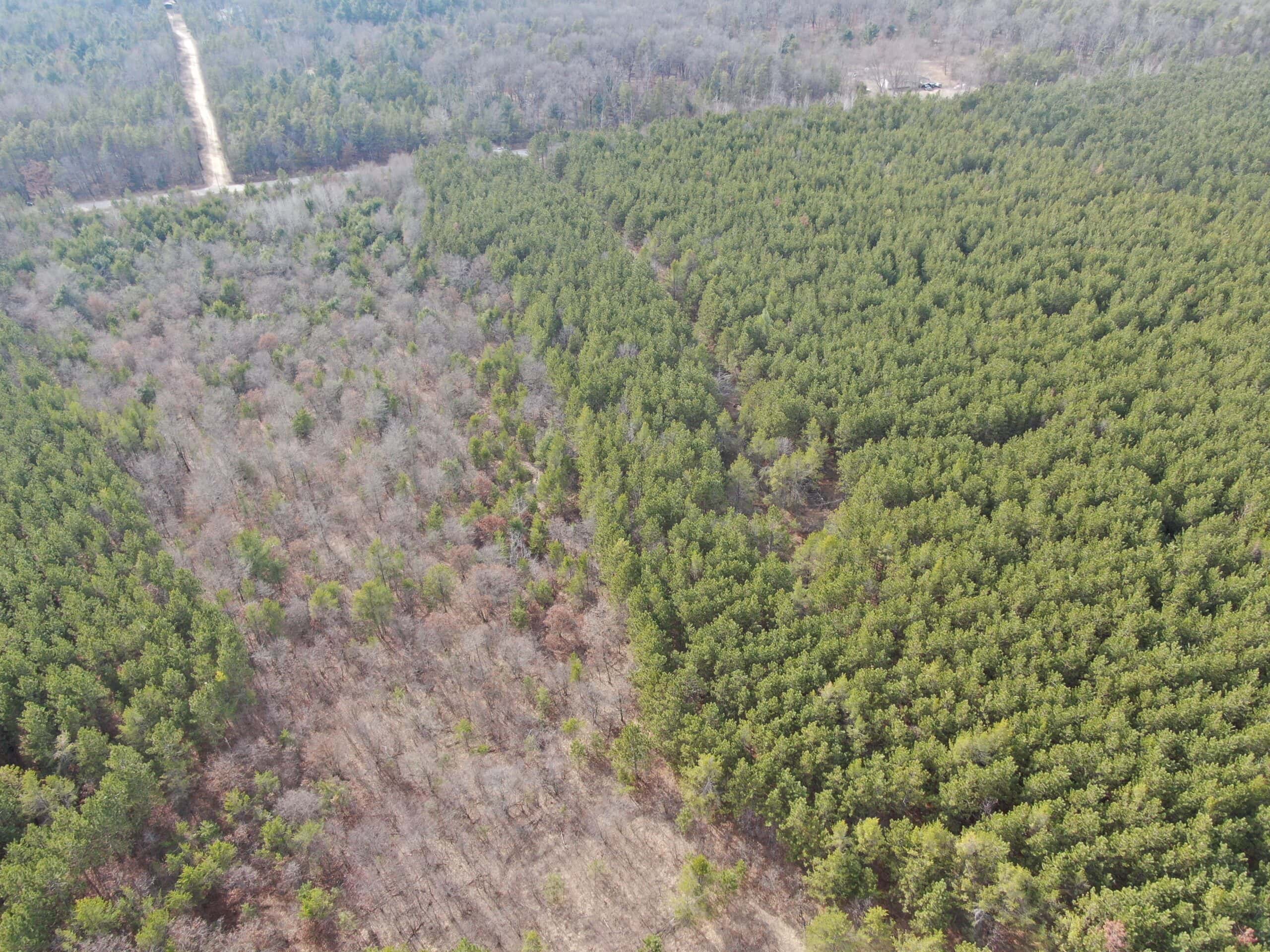 Juneau County 76 +/- Acre Parcel