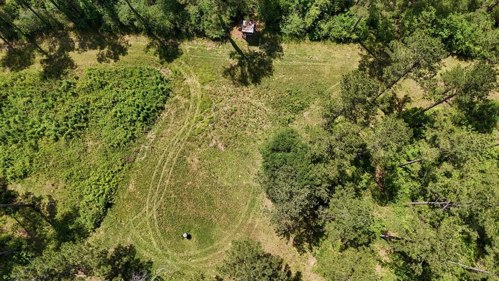 Turnkey Pike County, MS 70 Acres Hunting Property