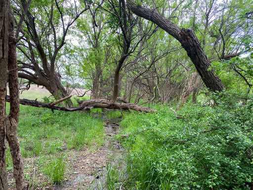 51.01 Acres for Sale in Gatesville, TX – Gated Entrance, Pond, and Stunning Views