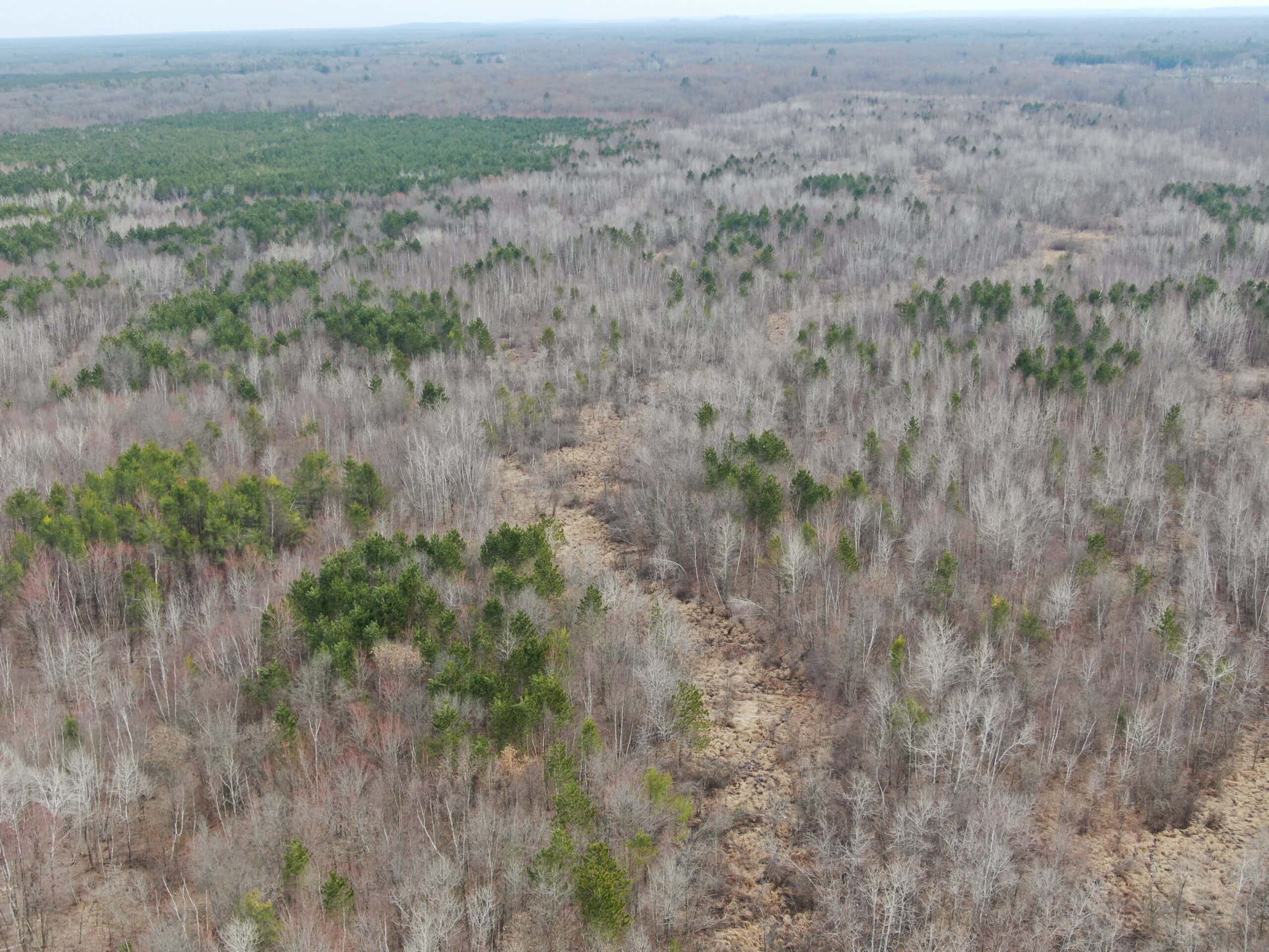 Juneau County WI 360 Acre Outdoor Paradise