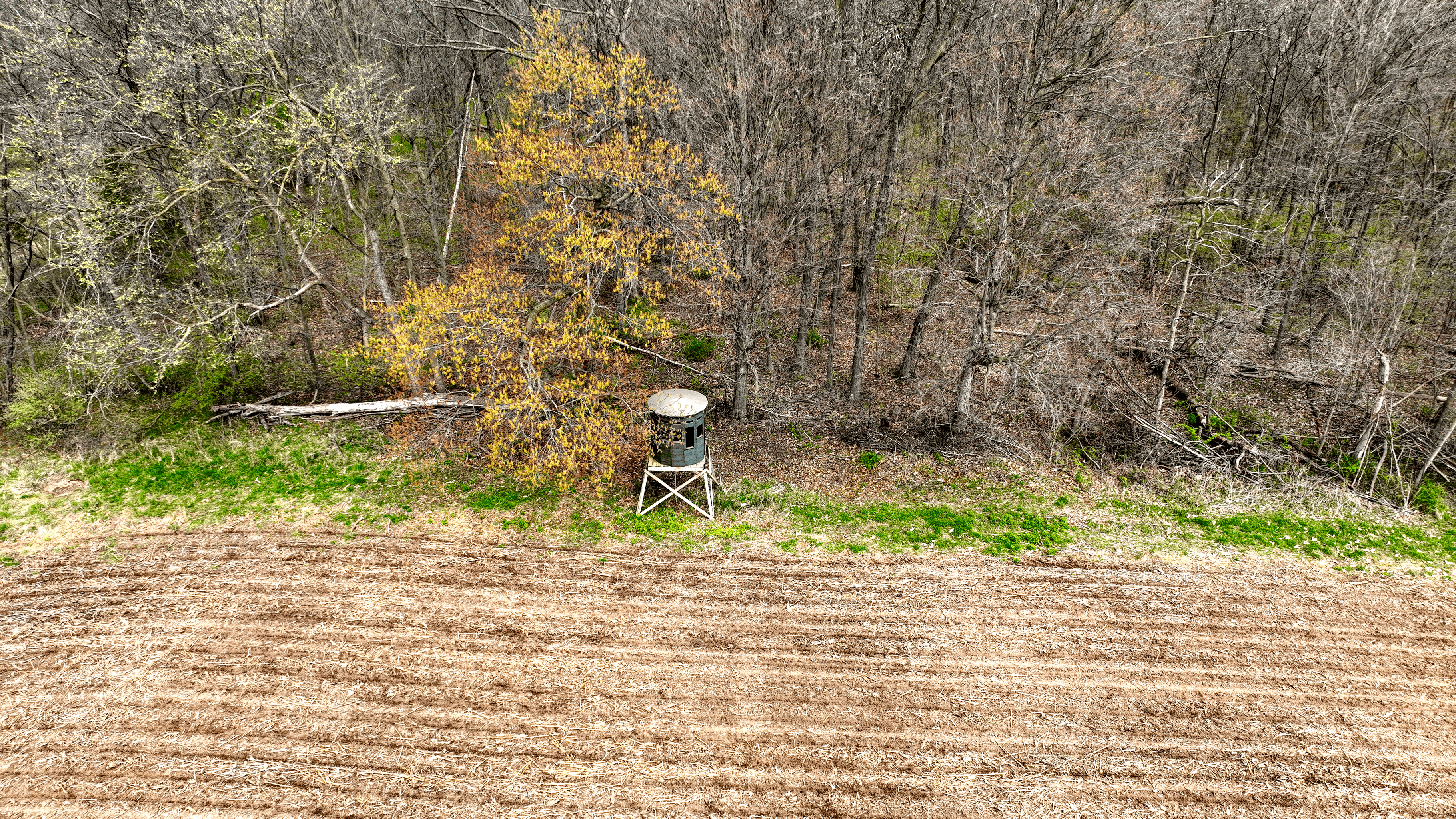 65-acre trophy whitetail and turkey hotspot