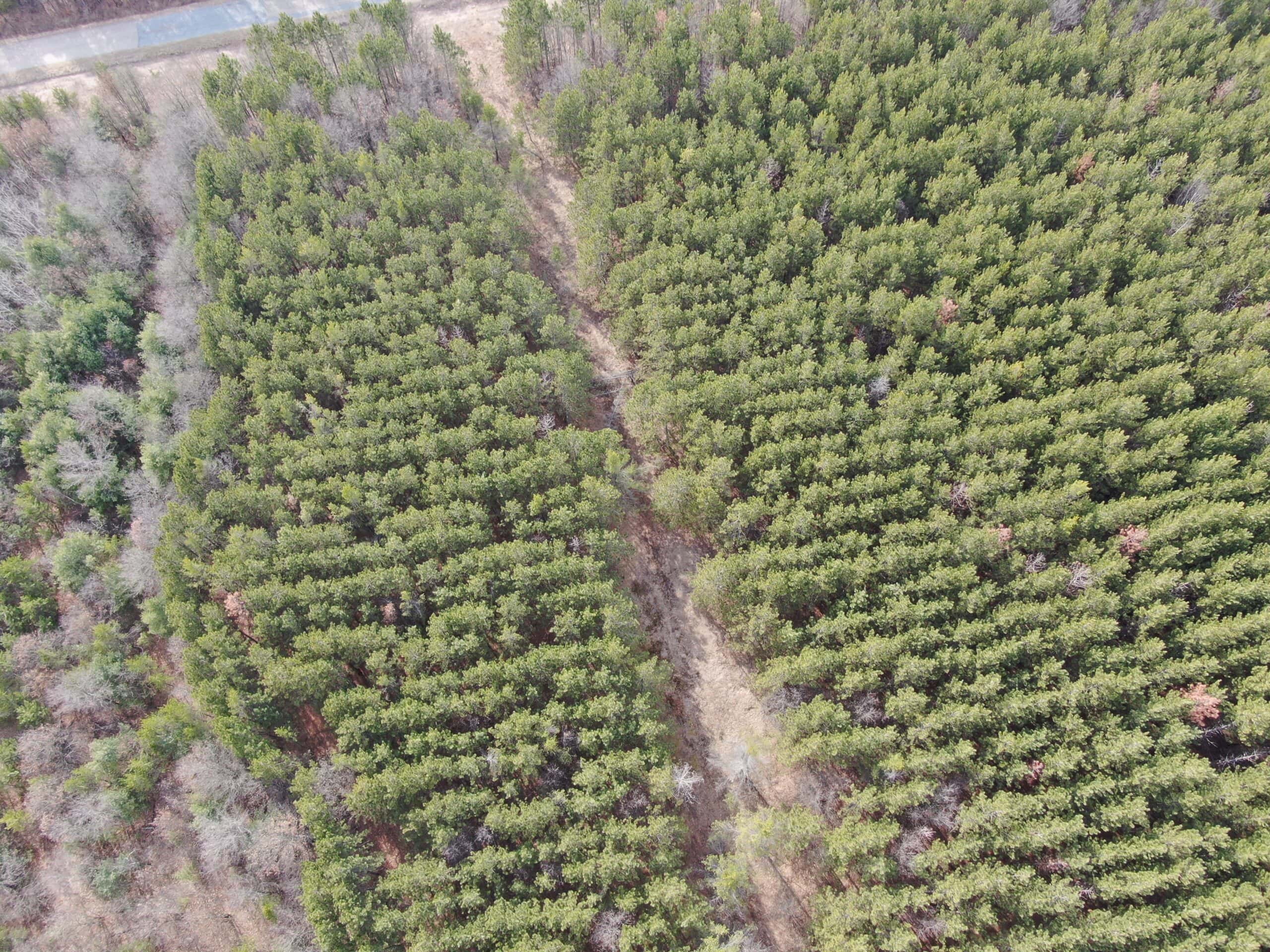 Juneau County 76 +/- Acre Parcel
