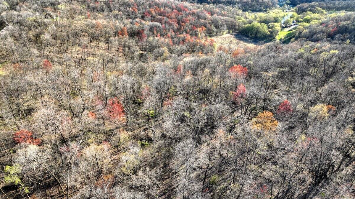 Prime 34+/- Acre Parcel in La Crosse County Wisconsin