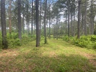 Turnkey Pike County, MS 70 Acres Hunting Property
