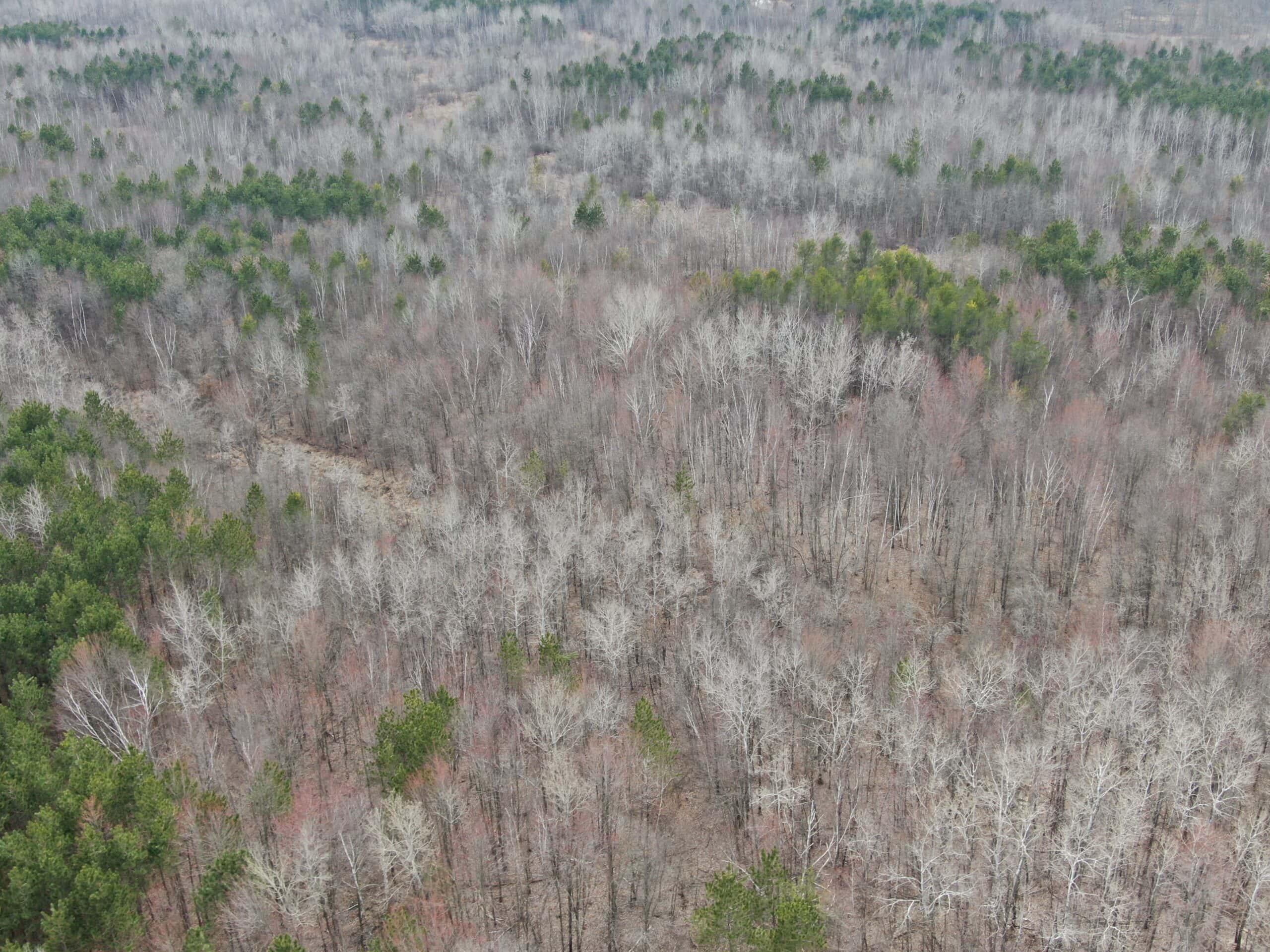 Juneau County WI 360 Acre Outdoor Paradise