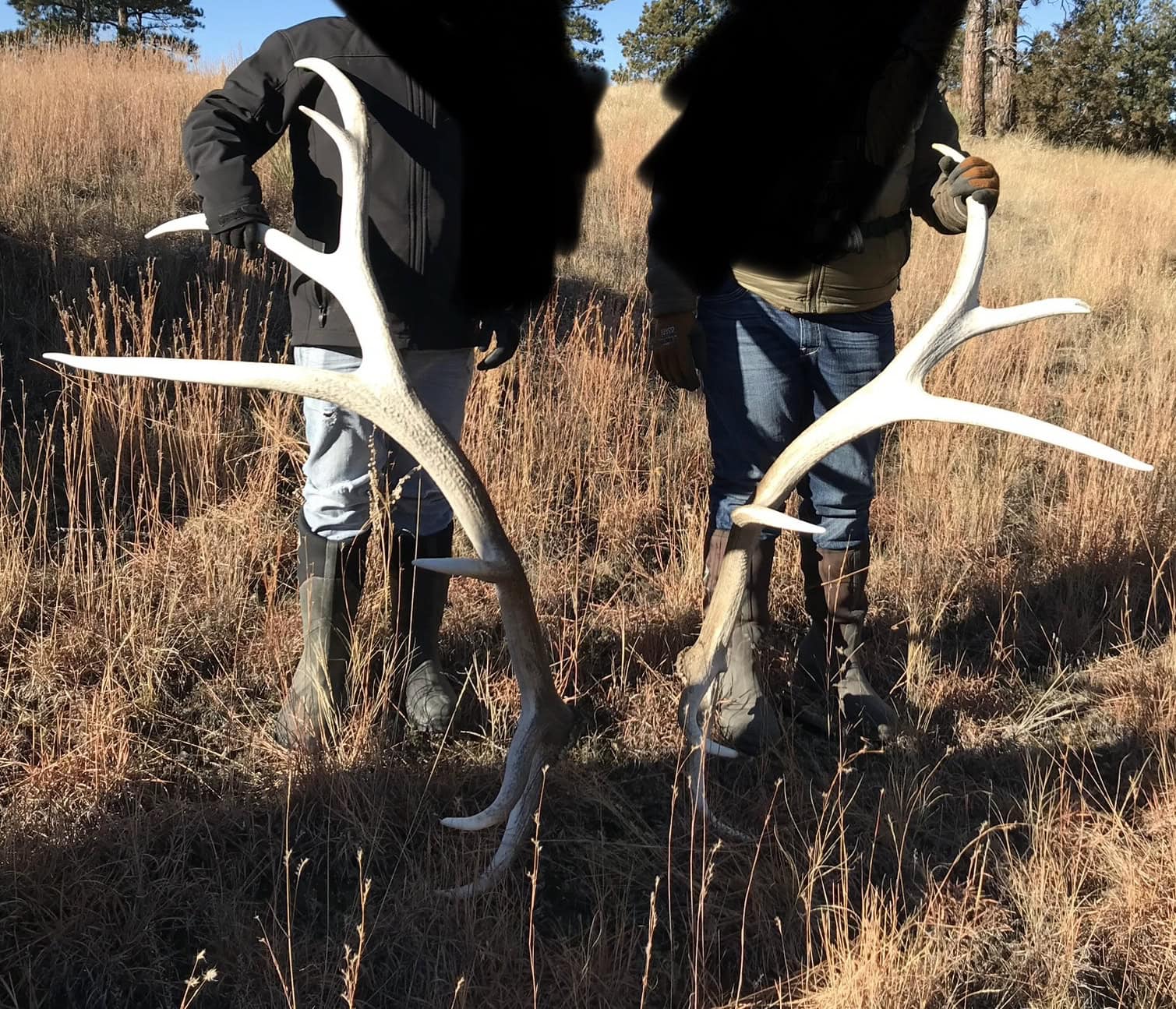 Scenic Montana Ranch with Elk, Deer & Trout Fishing