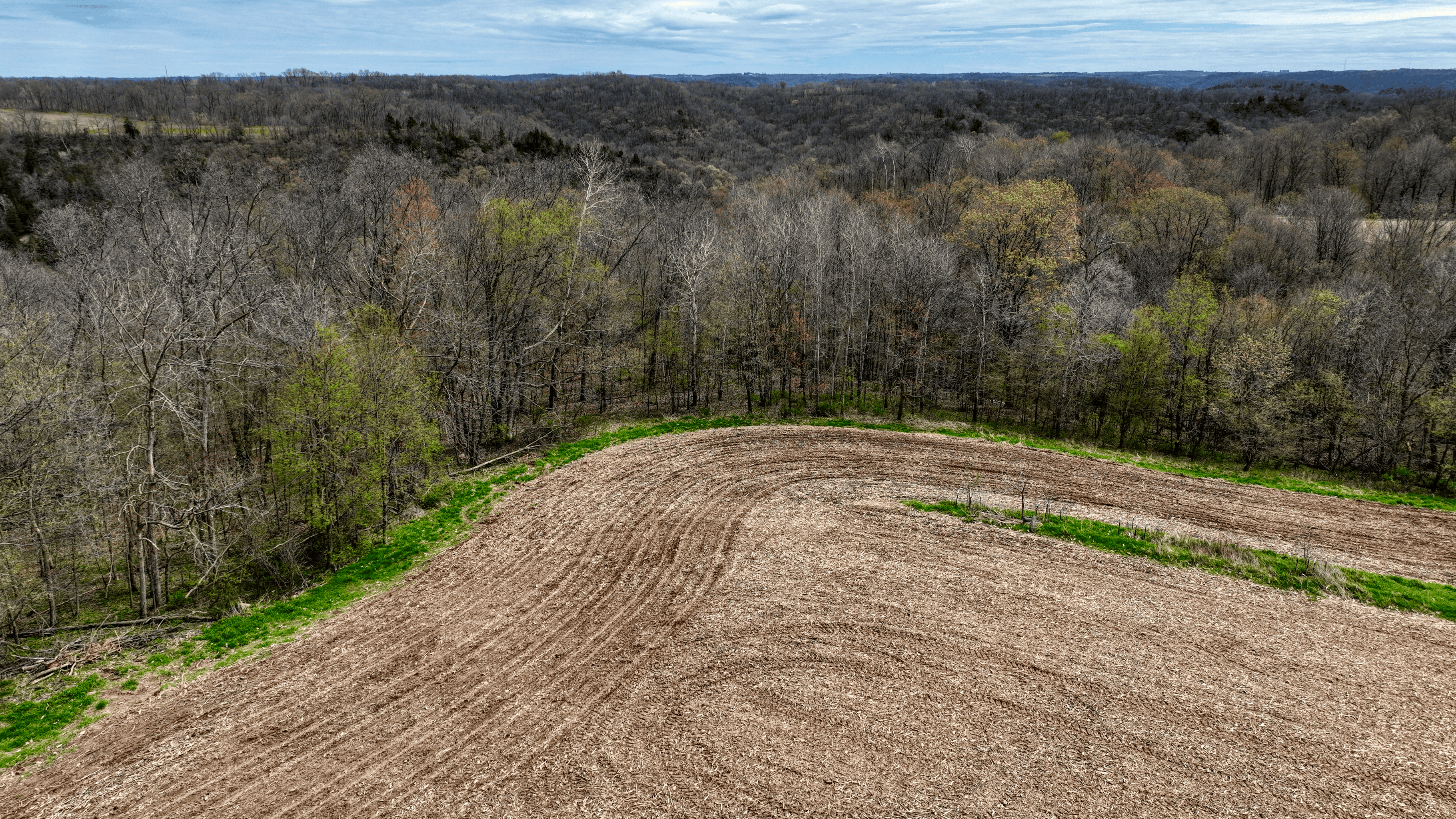 65-acre trophy whitetail and turkey hotspot