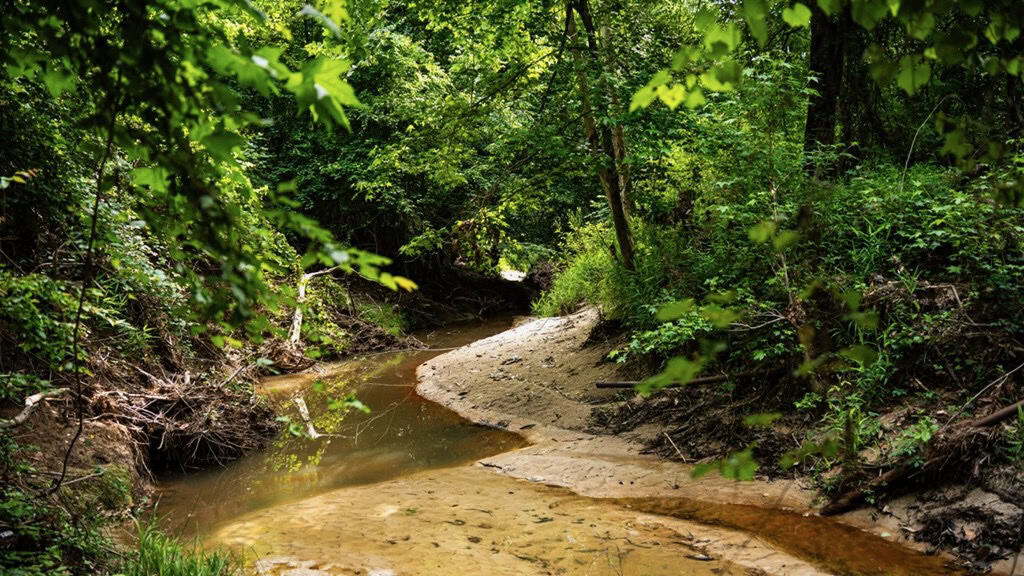 586 Hunting Land in the Catahoula Hills with Creek