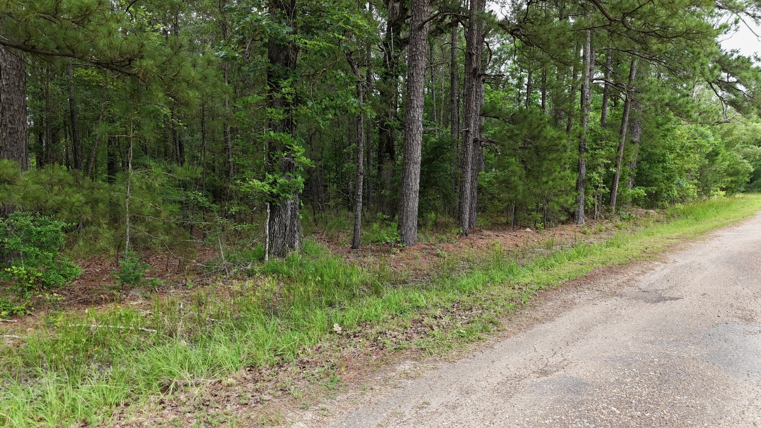 Riverfront Hunting Property with a Private Lake