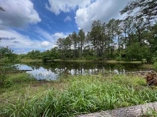 Turnkey Pike County, MS 70 Acres Hunting Property