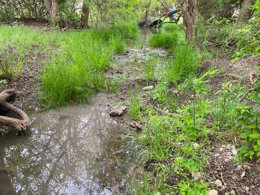 51.01 Acres for Sale in Gatesville, TX – Gated Entrance, Pond, and Stunning Views