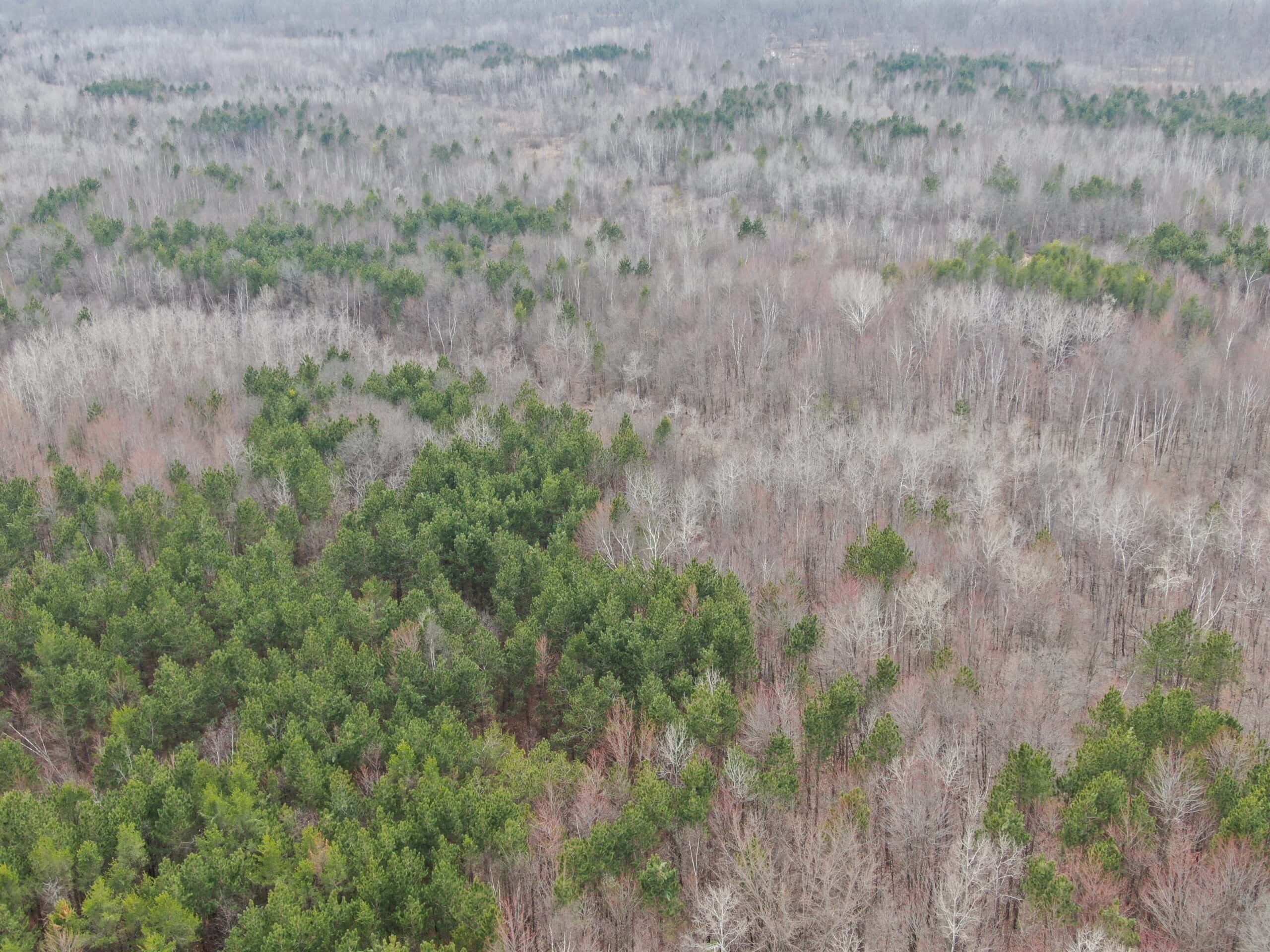 Juneau County WI 360 Acre Outdoor Paradise