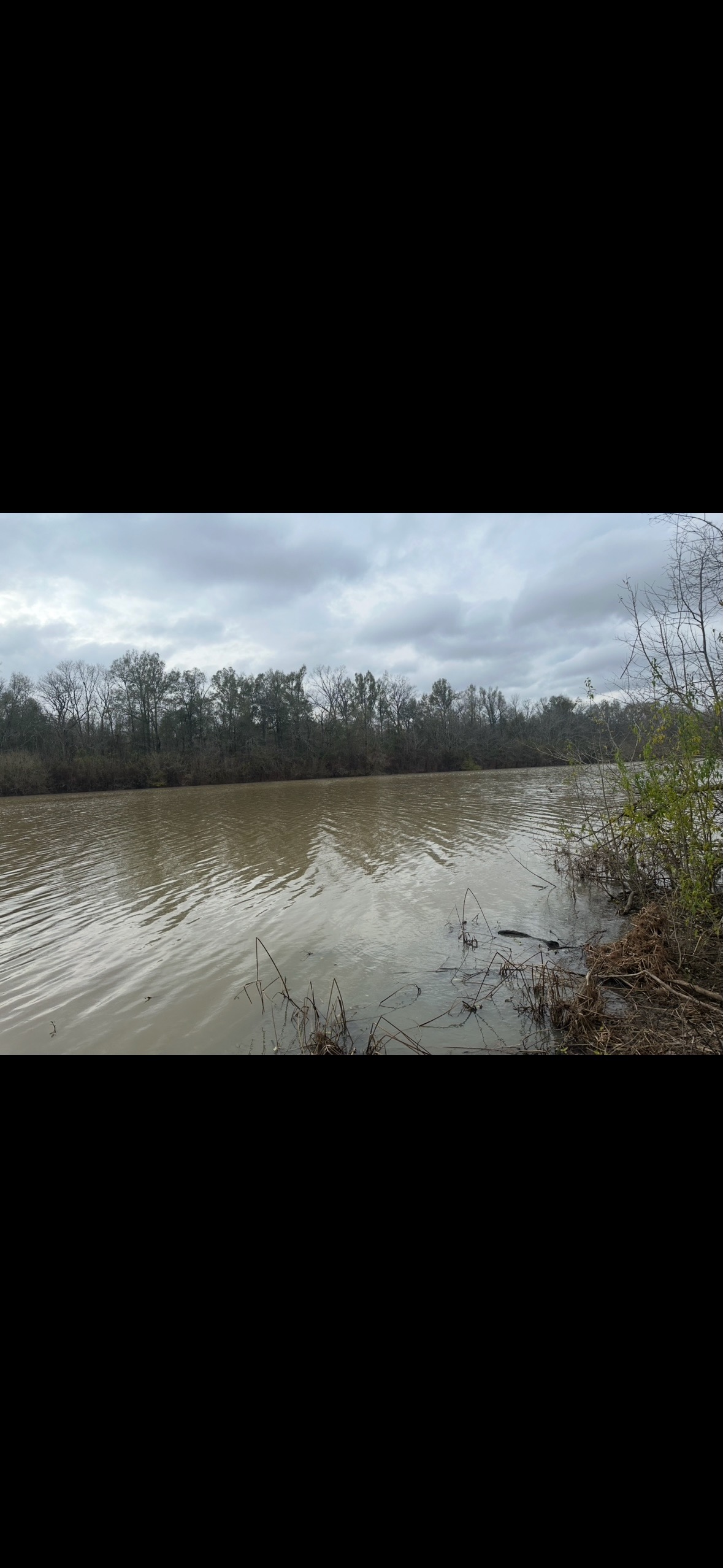 Riverfront Hunting Property with a Private Lake