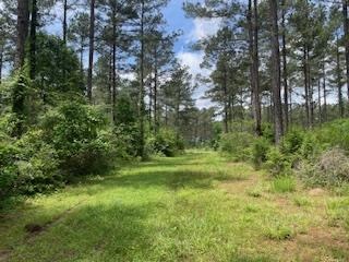 Turnkey Pike County, MS 70 Acres Hunting Property